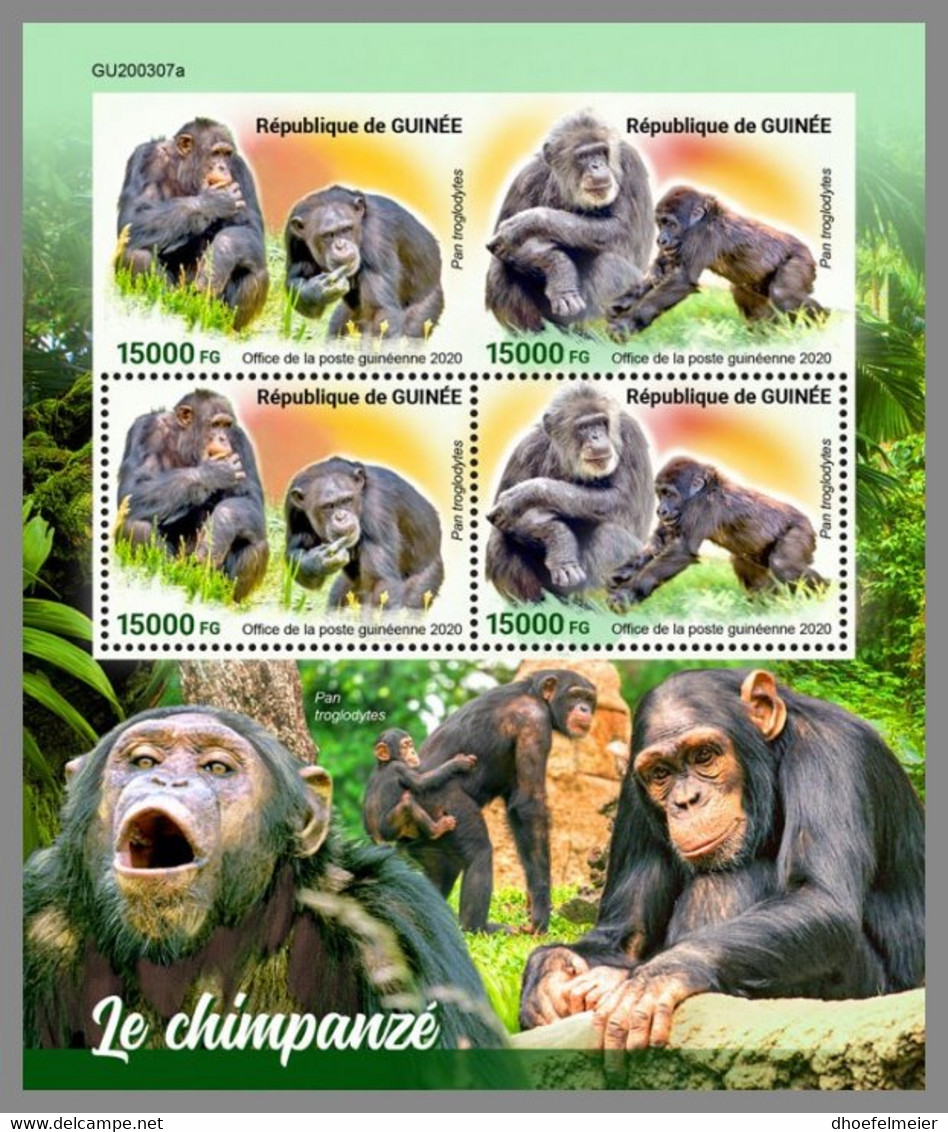 GUINEA REP. 2020 MNH Chimapanzee Schimpansen Chimpanze M/S - IMPERFORATED - DHQ2108 - Chimpanzees