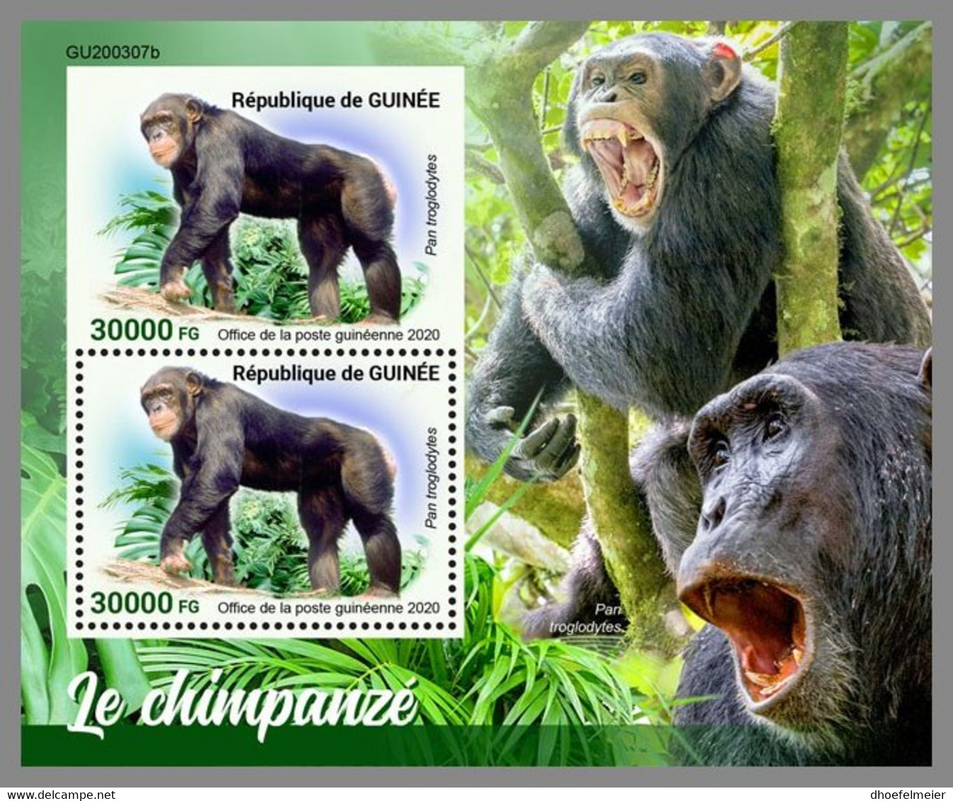 GUINEA REP. 2020 MNH Chimapanzee Schimpansen Chimpanze S/S - IMPERFORATED - DHQ2108 - Chimpanzees
