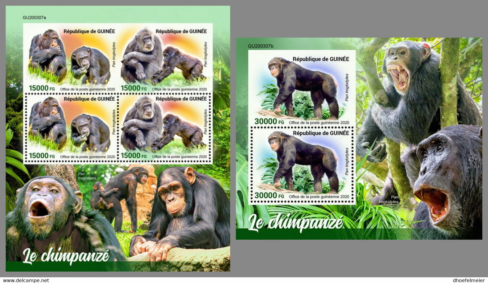 GUINEA REP. 2020 MNH Chimapanzee Schimpansen Chimpanze M/S+S/S - IMPERFORATED - DHQ2108 - Chimpancés