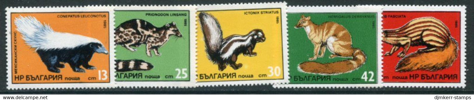 BULGARIA 1985 Predatory Mammals MNH / **.  Michel 3333-37 - Unused Stamps