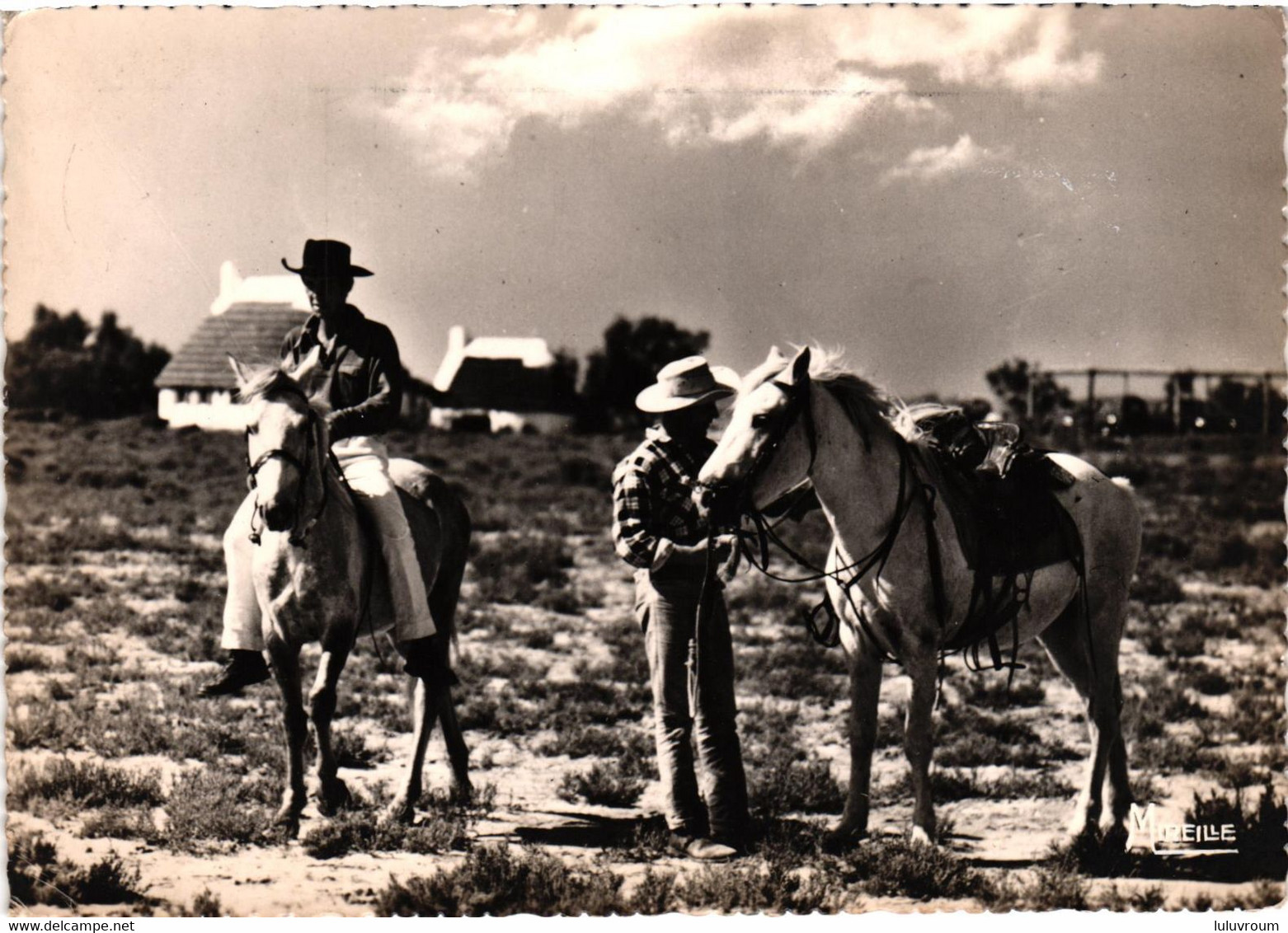 Camargue - Avec Les Gardians - Troupeaux De Chevaux Sauvages - Après La Capture, Le Dressage - Autres & Non Classés