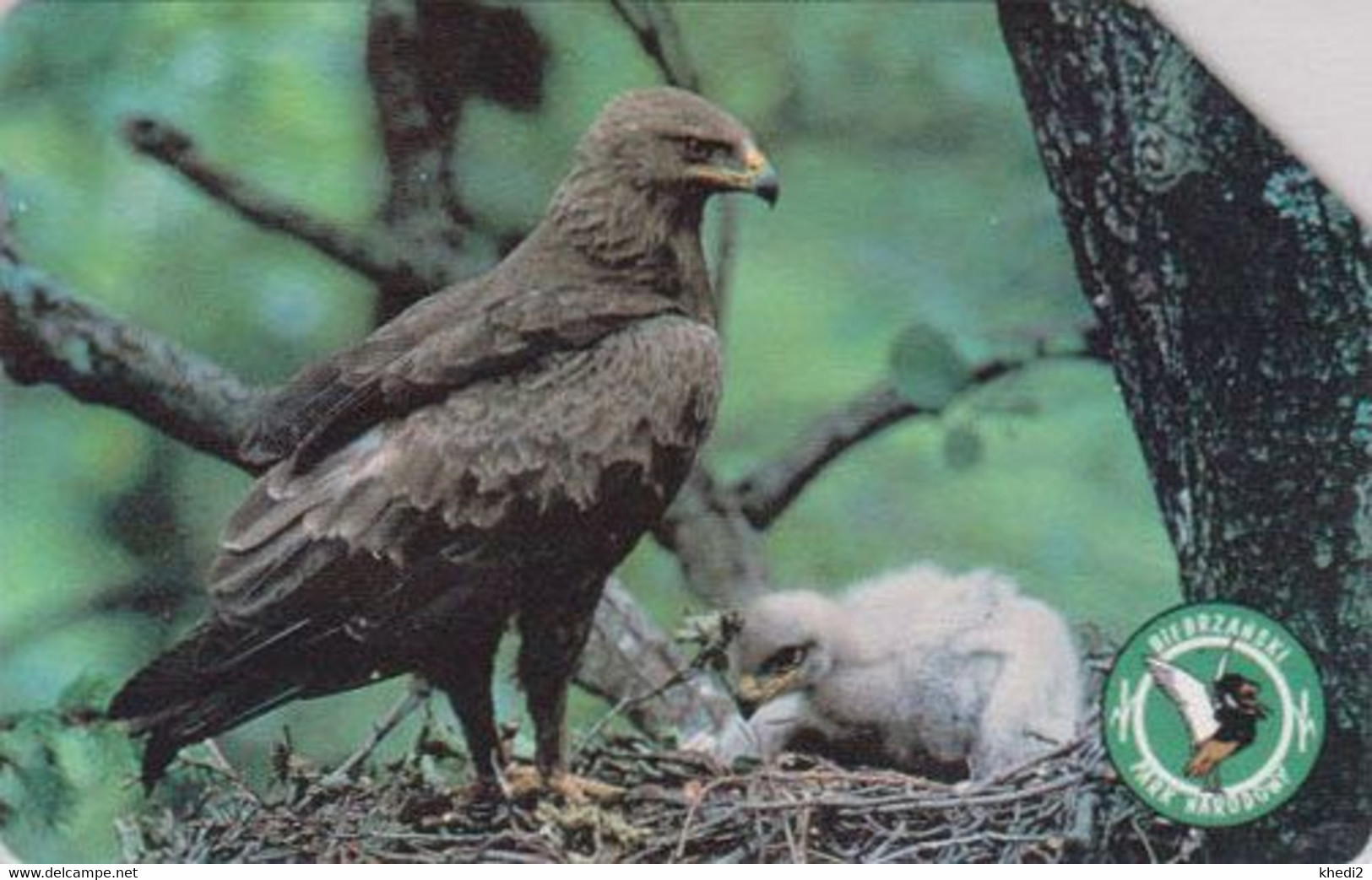 TC POLOGNE - ANIMAL / Série Bierbrzanski Park 4/10 - OISEAU AIGLE POMARIN Au Nid - EAGLE BIRD POLAND Phonecard - BE 5525 - Arenden & Roofvogels