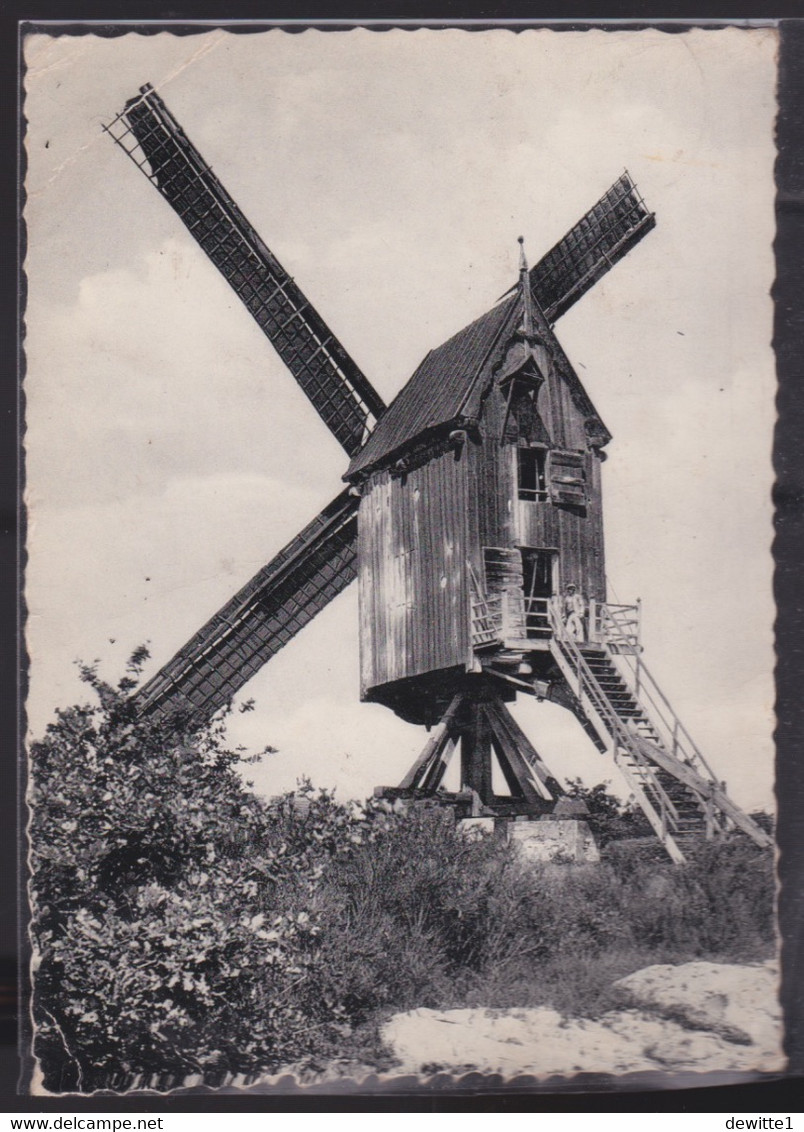 KEERBERGEN.    Oude Molen In Werking.  See  Scans - Keerbergen