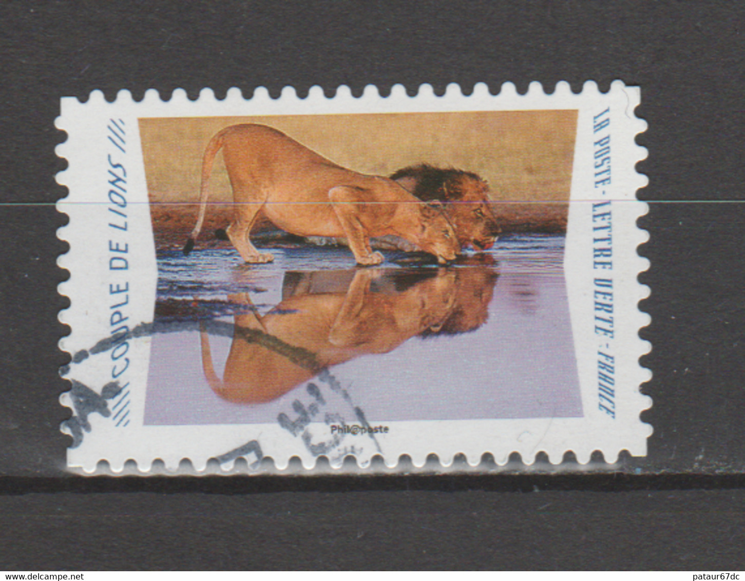 FRANCE / 2020 / Y&T N° AA 1817 : "Animaux Du Monde" (Couple De Lions) - Choisi - Cachet Rond - Altri & Non Classificati