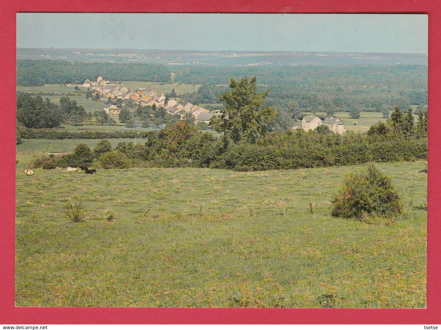 Matagne-la-Grande - Panorama ... De La Localité - Doische