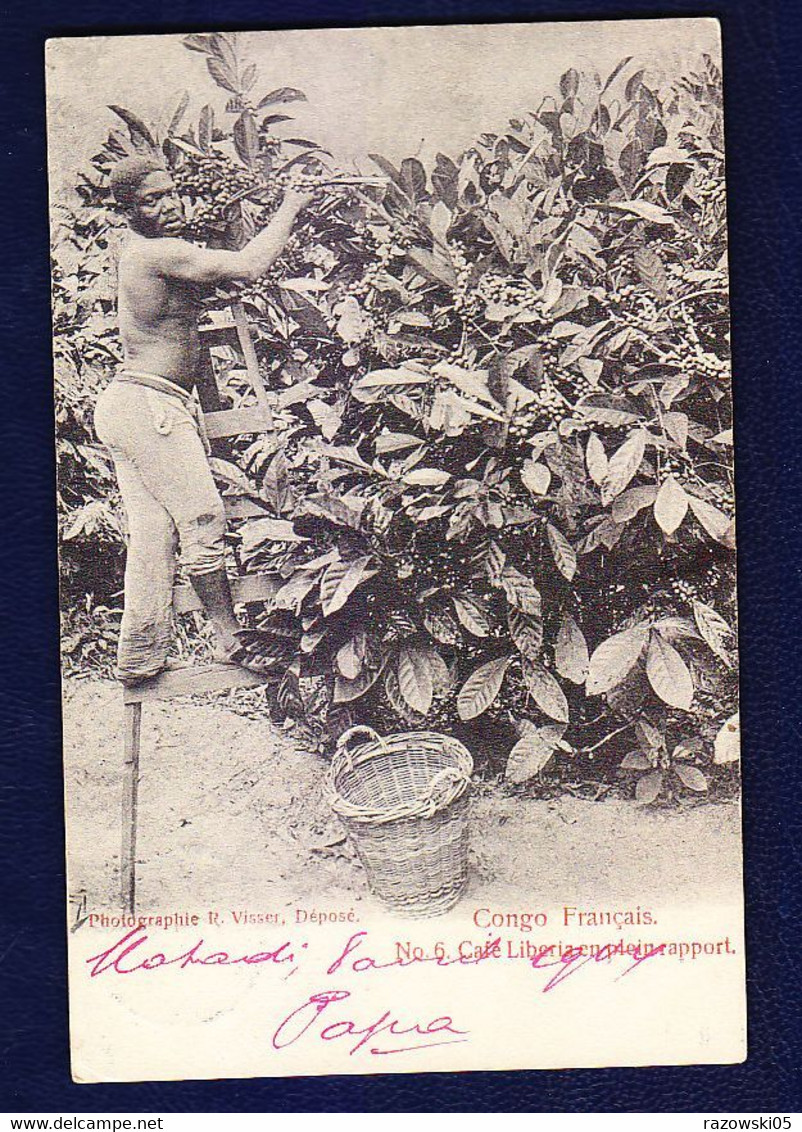 FRANCE CONGO FRANCAIS CP CARTE POSTALE ANVERS BELGIQUE CAFE LIBERIA ETAT INDEPENDANT DU CONGO TIMBRE - French Congo