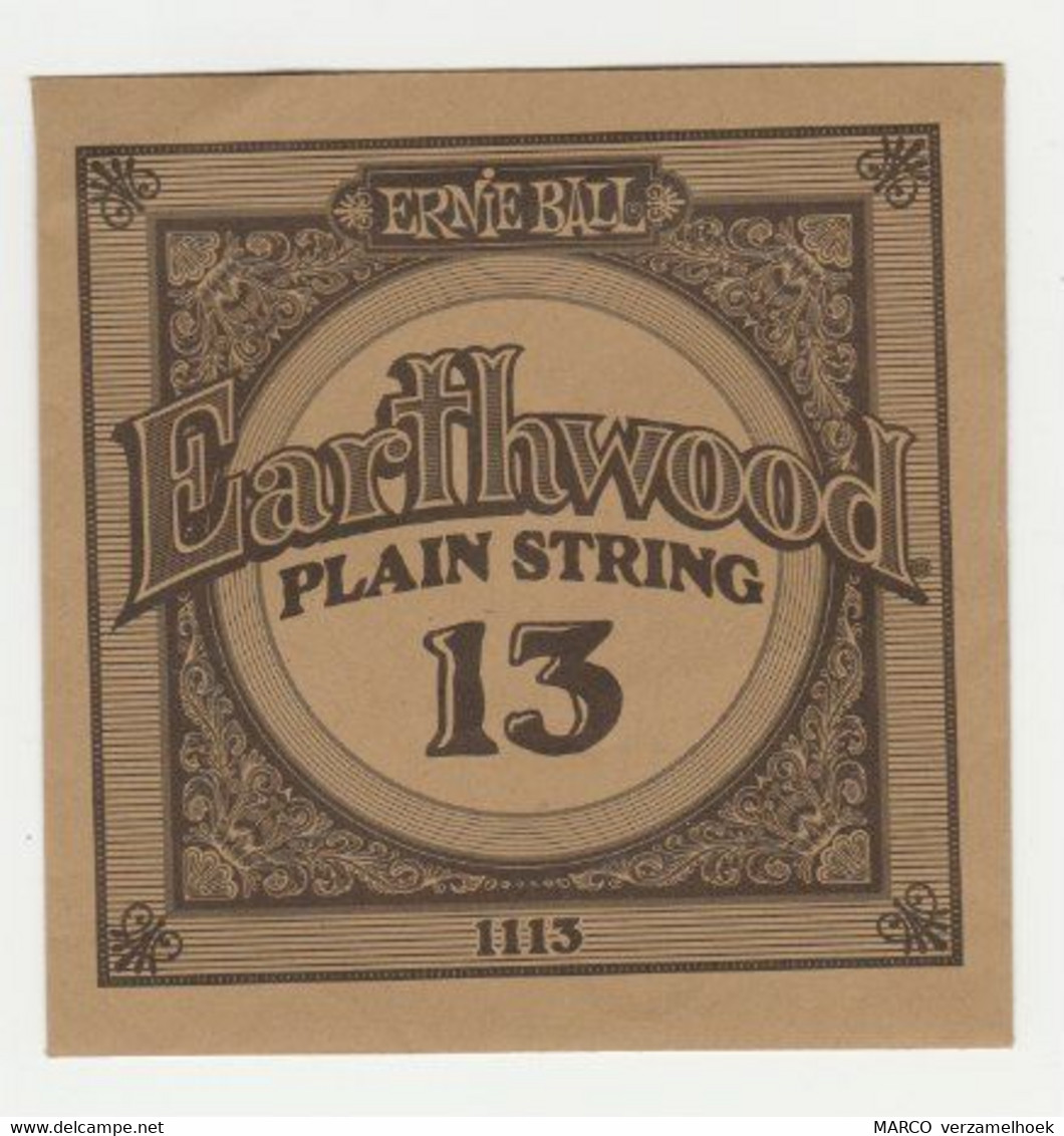 Ernie Ball Earthwood Plain String 13 Coachella USA - Accessories & Sleeves