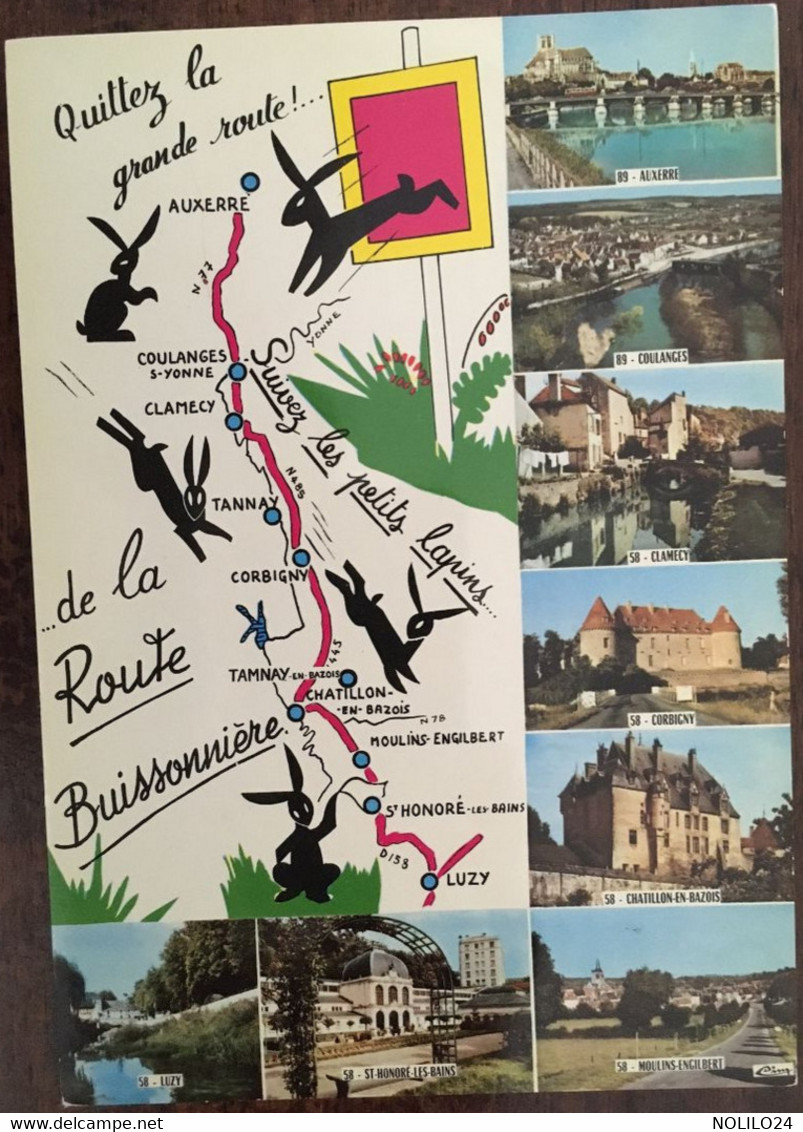 Cpm "Quittez La Grande Route, Suivez Les Petites Lapins De La Route Buissonnière" Carte Multivues Nièvre 58 Yonne 89 - Bourgogne