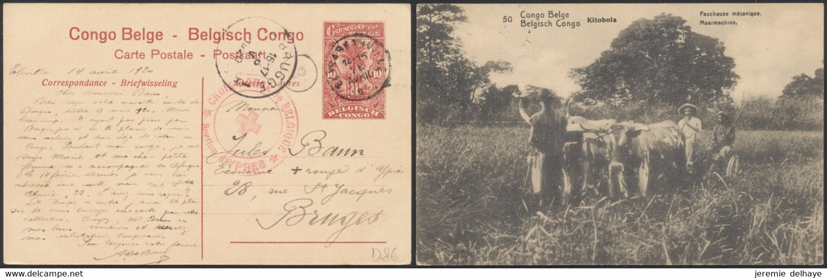 Congo Belge - EP Au Type 10ctm Rouge Palmier + Vue N°50 Expédié De Elisabethville > Bruges + Croix Rouge De Ypres - Ganzsachen