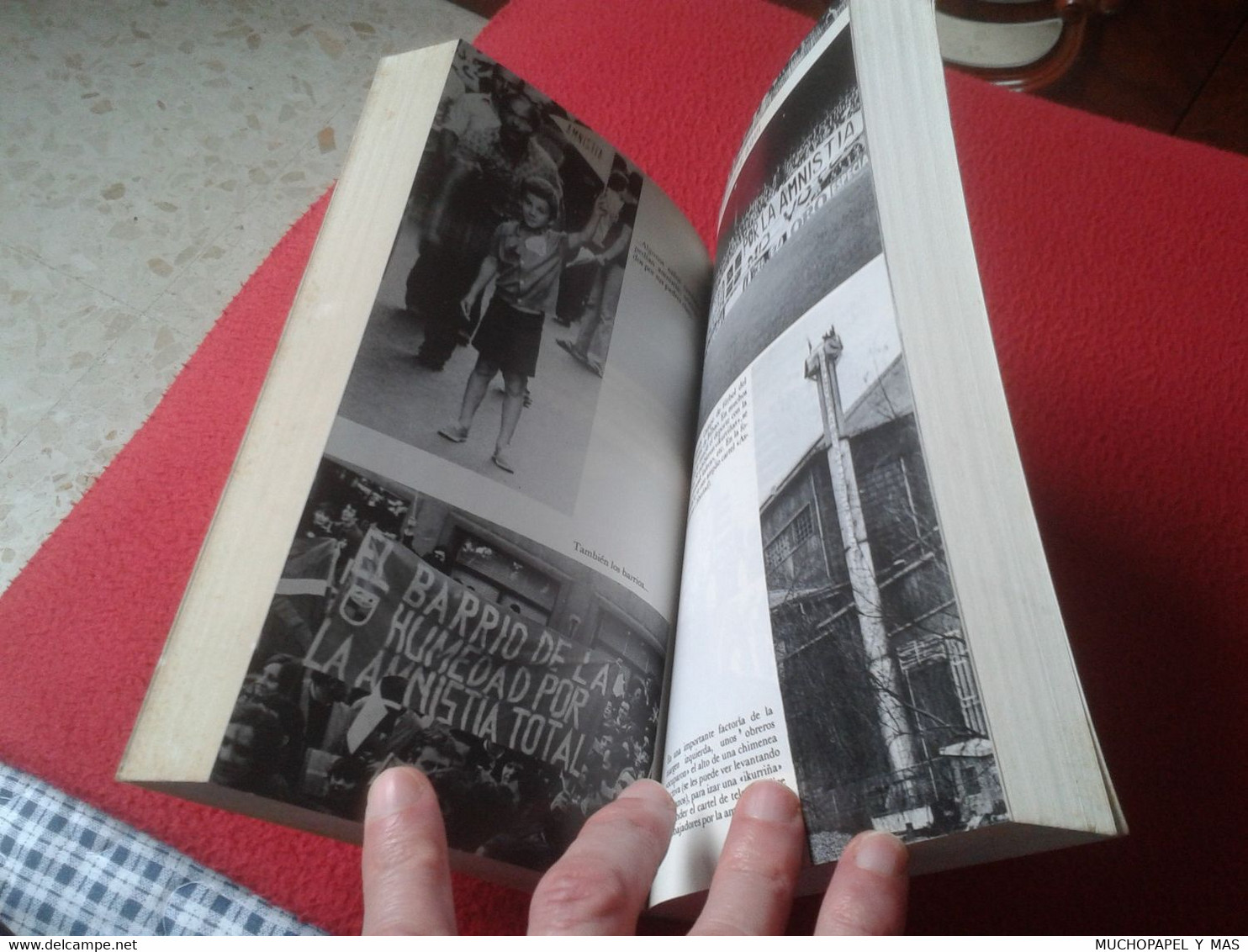 LIBRO EUSKADI: AMNISTÍA ARRANCADA JOSE MARÍA PORTELL DOPESA 1977 TERRORISMO ETA PAÍS VASCO TERRORISM TERRORISME AMNISTIE