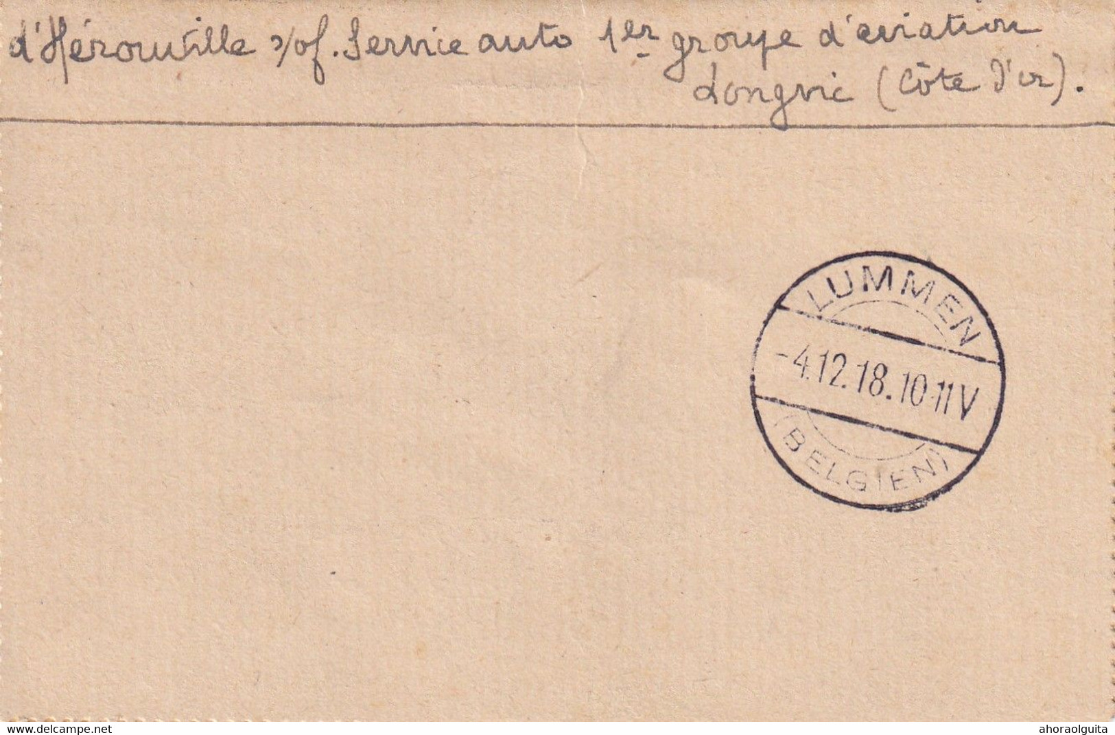 DDY 673 - Carte-Lettre En Franchise DIJON 15 Nov. 1918 Vers Mme Briers , Chateau De LUMMEN (Cachet Allemand 4/12/18) - Noodstempels (1919)