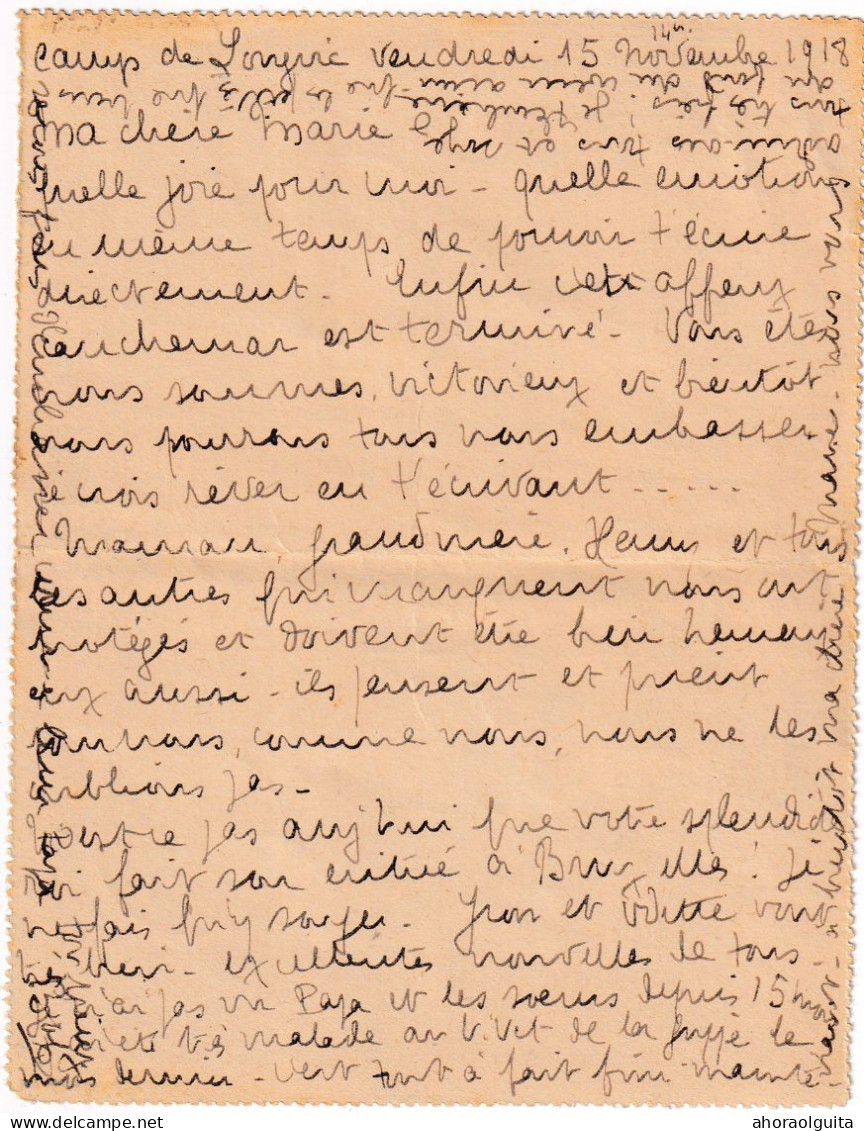 DDY 673 - Carte-Lettre En Franchise DIJON 15 Nov. 1918 Vers Mme Briers , Chateau De LUMMEN (Cachet Allemand 4/12/18) - Fortuna (1919)