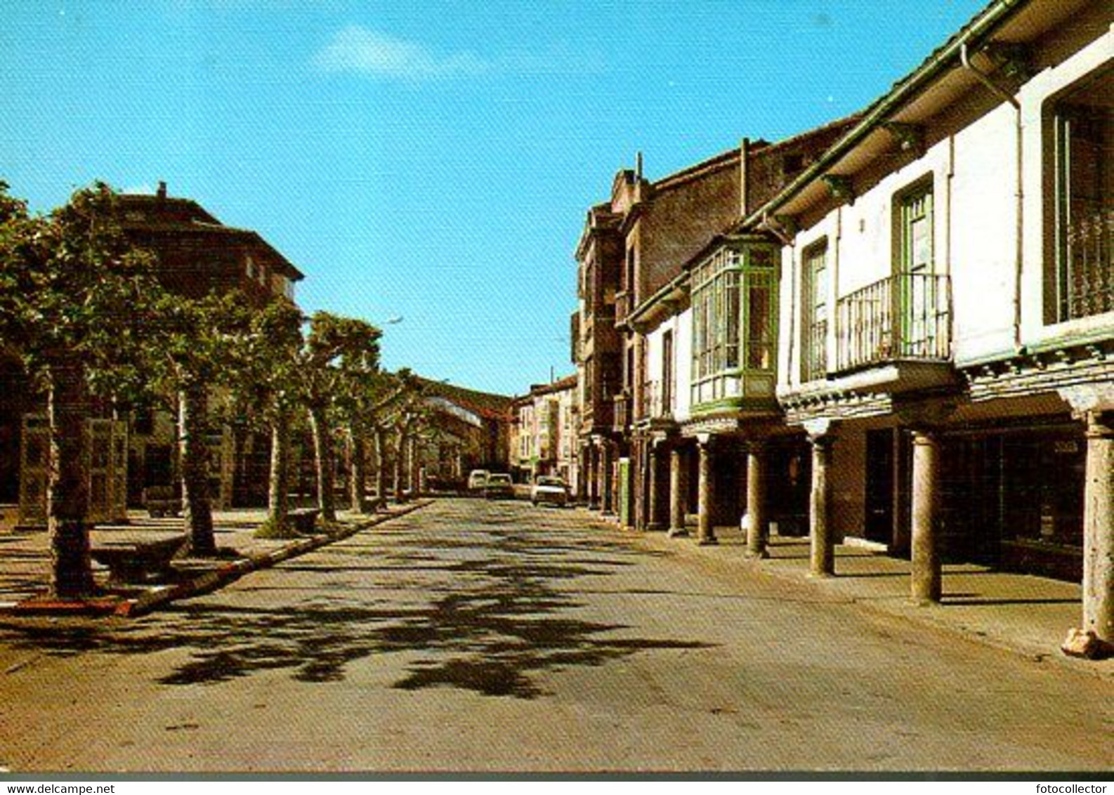 Espagne : Cervera Del Rio Pisuerga Calle De Matias Barrio Y Mier - Palencia