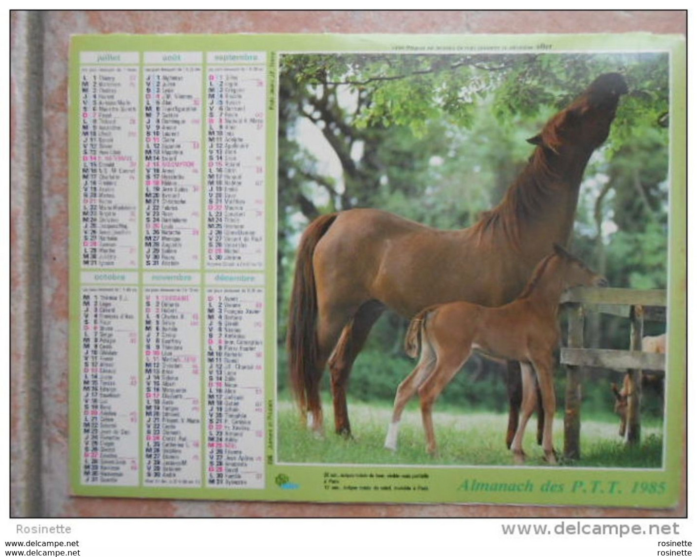 RARE Calendrier Almanach  Des PTT 1985 Berger Allemand Et Verso Chevaux (intérieur Blanc : Sans Rien , Voir Photos) - Grand Format : 1981-90