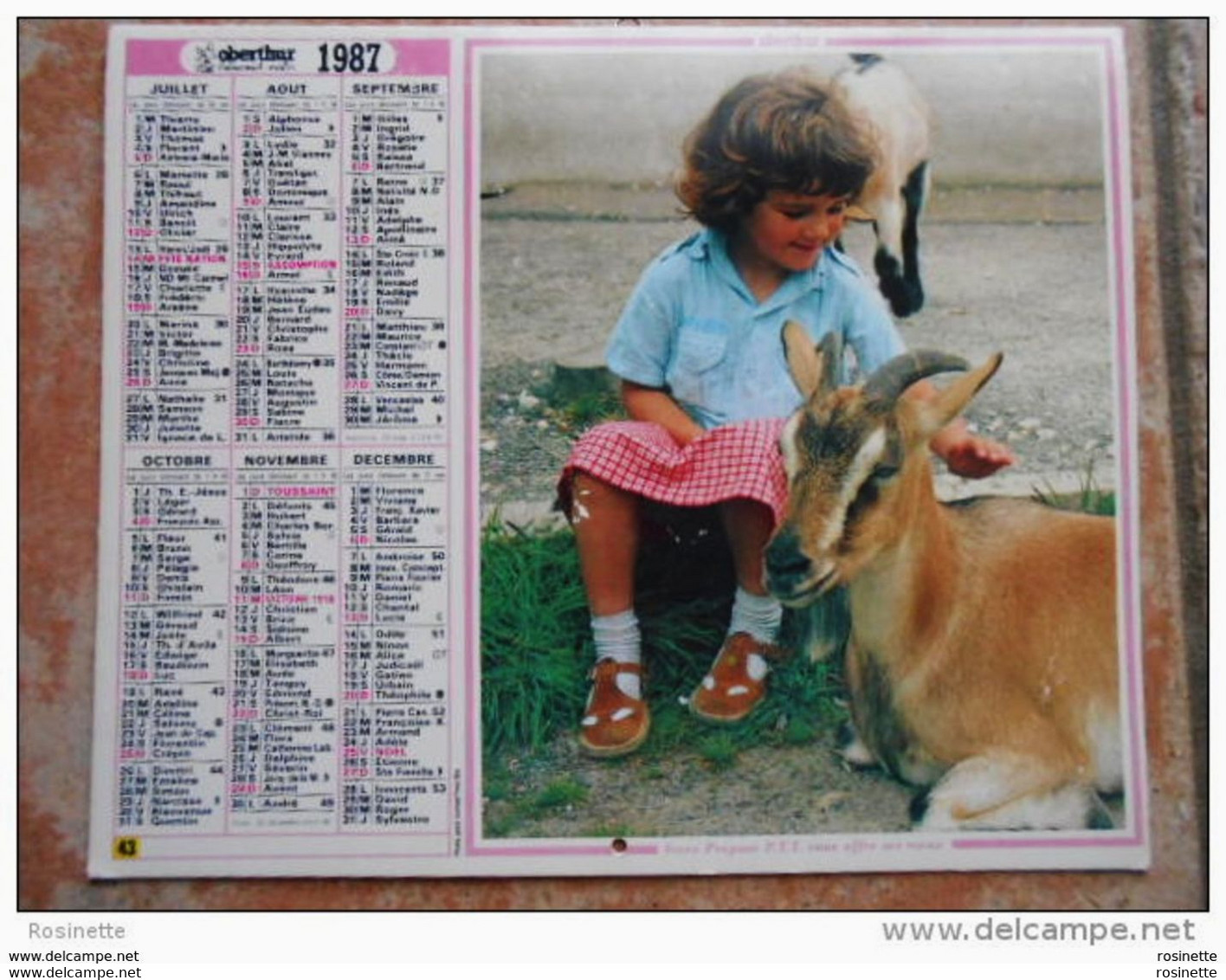 RARE 4 Photos Intérieur Et Exterieur :calendrier  Almanach  1987 - Fillette/ Chèvre; Garçon /mouton ;sous Bois ;chevaux - Grand Format : 1981-90