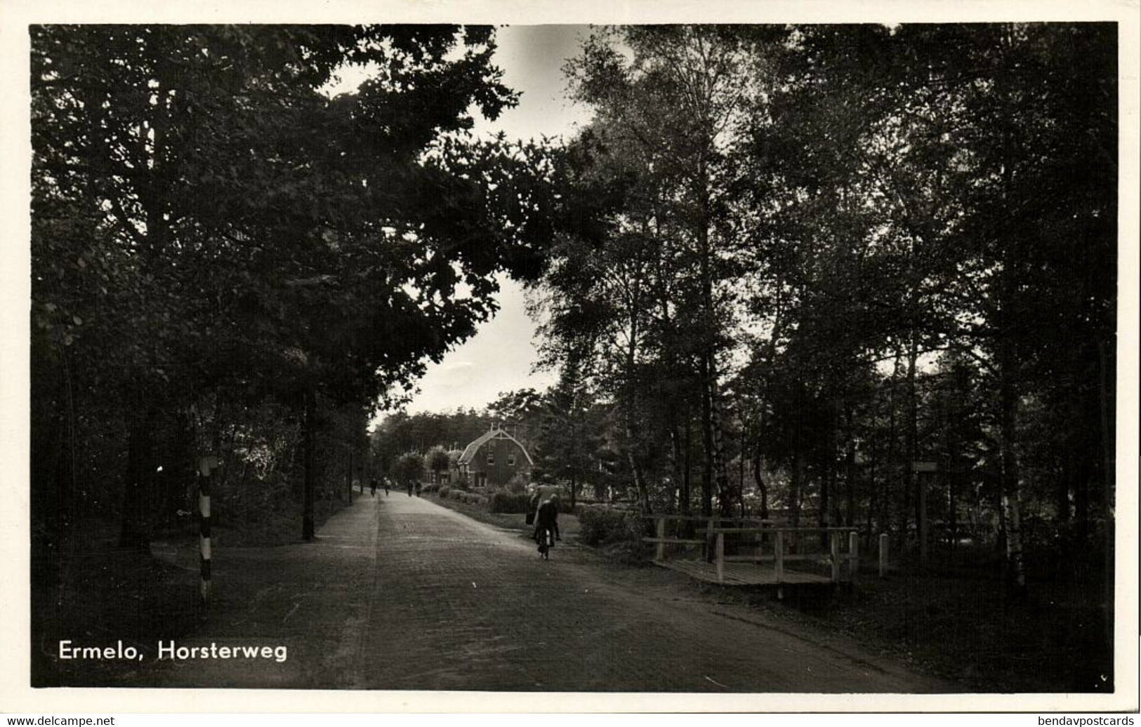 Nederland, ERMELO, Horsterweg (1950s) Ansichtkaart - Ermelo