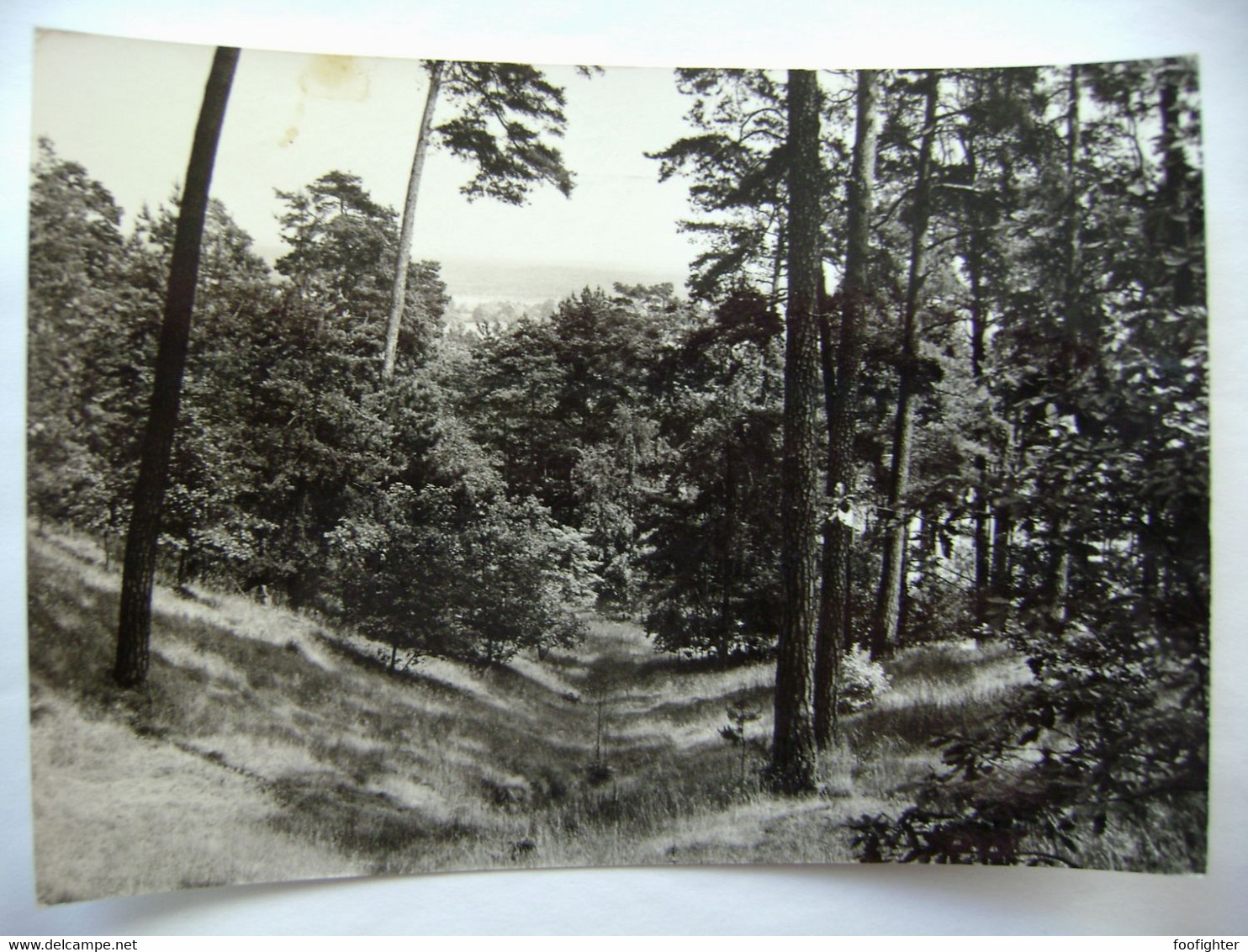 Berlin - Müggelheim, Blick Von Den Müggelbergen - Posted 1971 - Köpenick