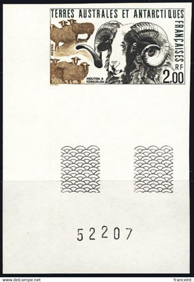 F.S.A.T. (1989) Mouflon. Corner Imperforate. Scott No 149, Yvert No 141. - Ongetande, Proeven & Plaatfouten