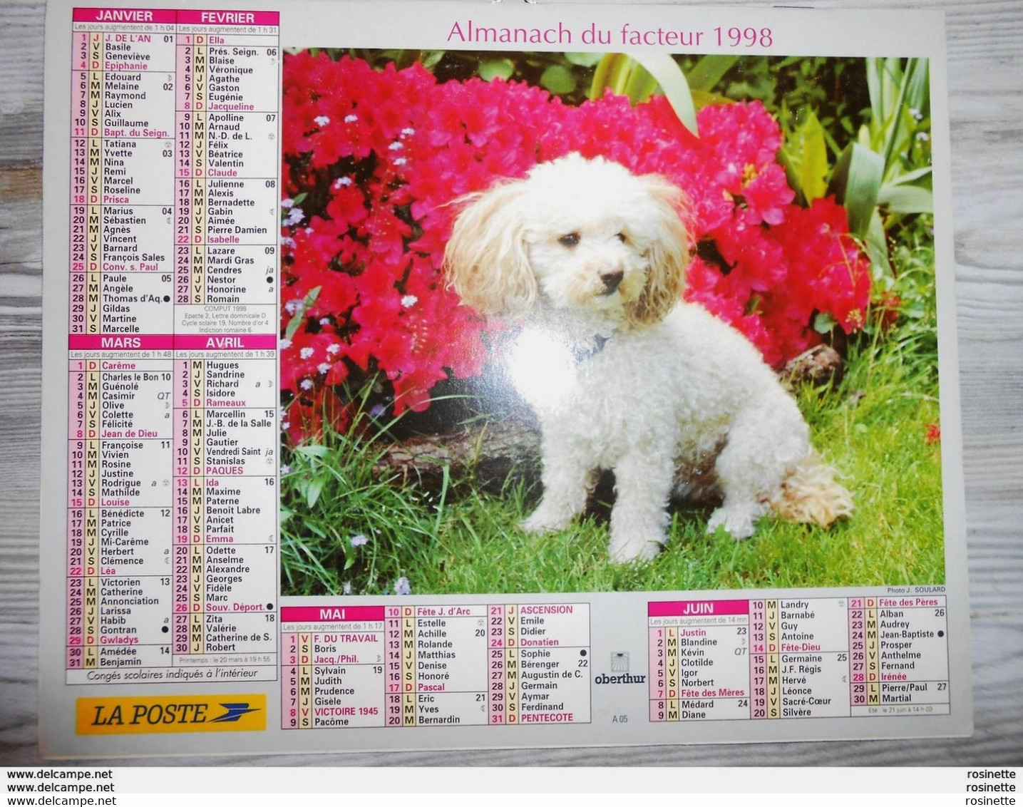 Calendrier Almanach -la Poste- Oberthur 1998 Recto CHIOTwest Highland Terriers  Verso CANICHE - Grand Format : 1991-00