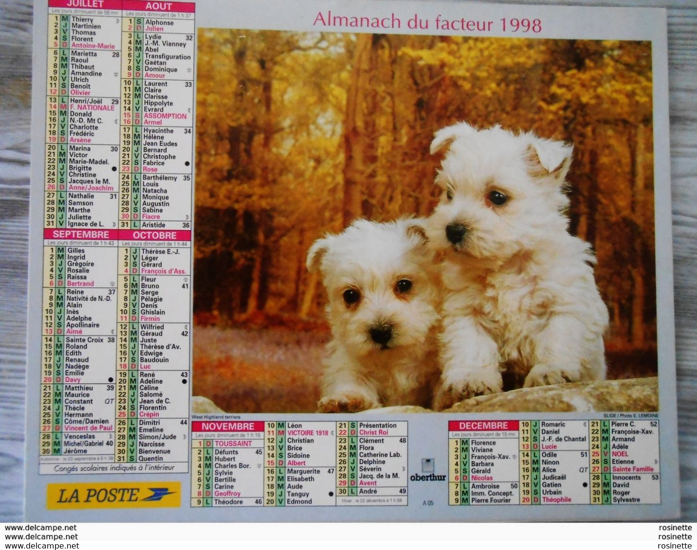 Calendrier Almanach -la Poste- Oberthur 1998 Recto CHIOTwest Highland Terriers  Verso CANICHE - Grand Format : 1991-00