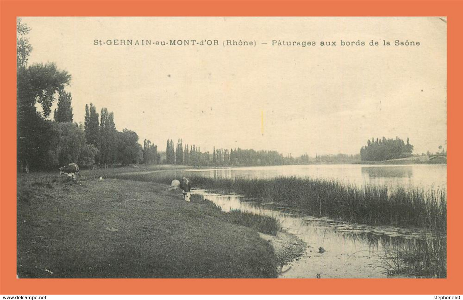 A563 / 117 69 - St GERMAIN Au MONT D'OR Paturages Aux Bords De La Saone - Andere & Zonder Classificatie