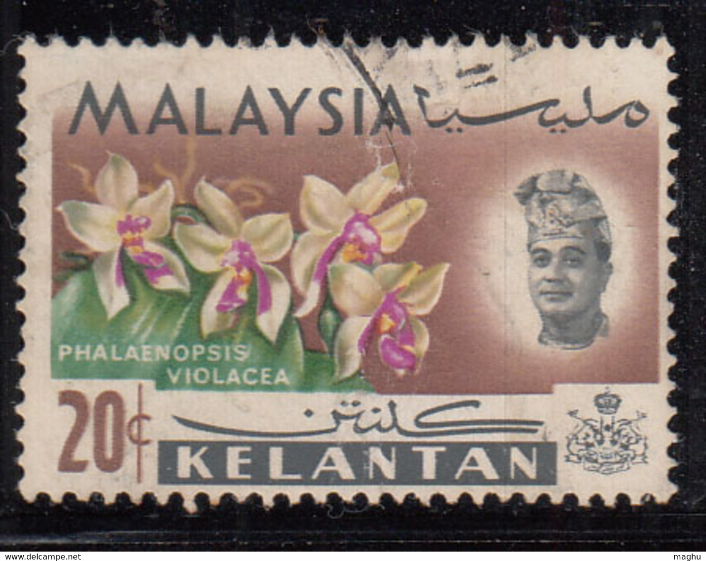 Kelantan 20c 1965, Orchids Orchind,, Plant, Malaya / Malaysia - Kelantan