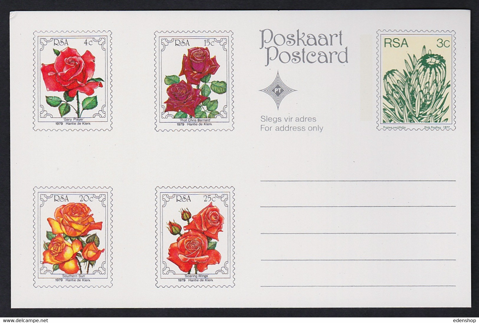 1979 South Africa RSA Set Of 5 Postcards Rose Flowers With 3c Protea Stamp - Autres & Non Classés