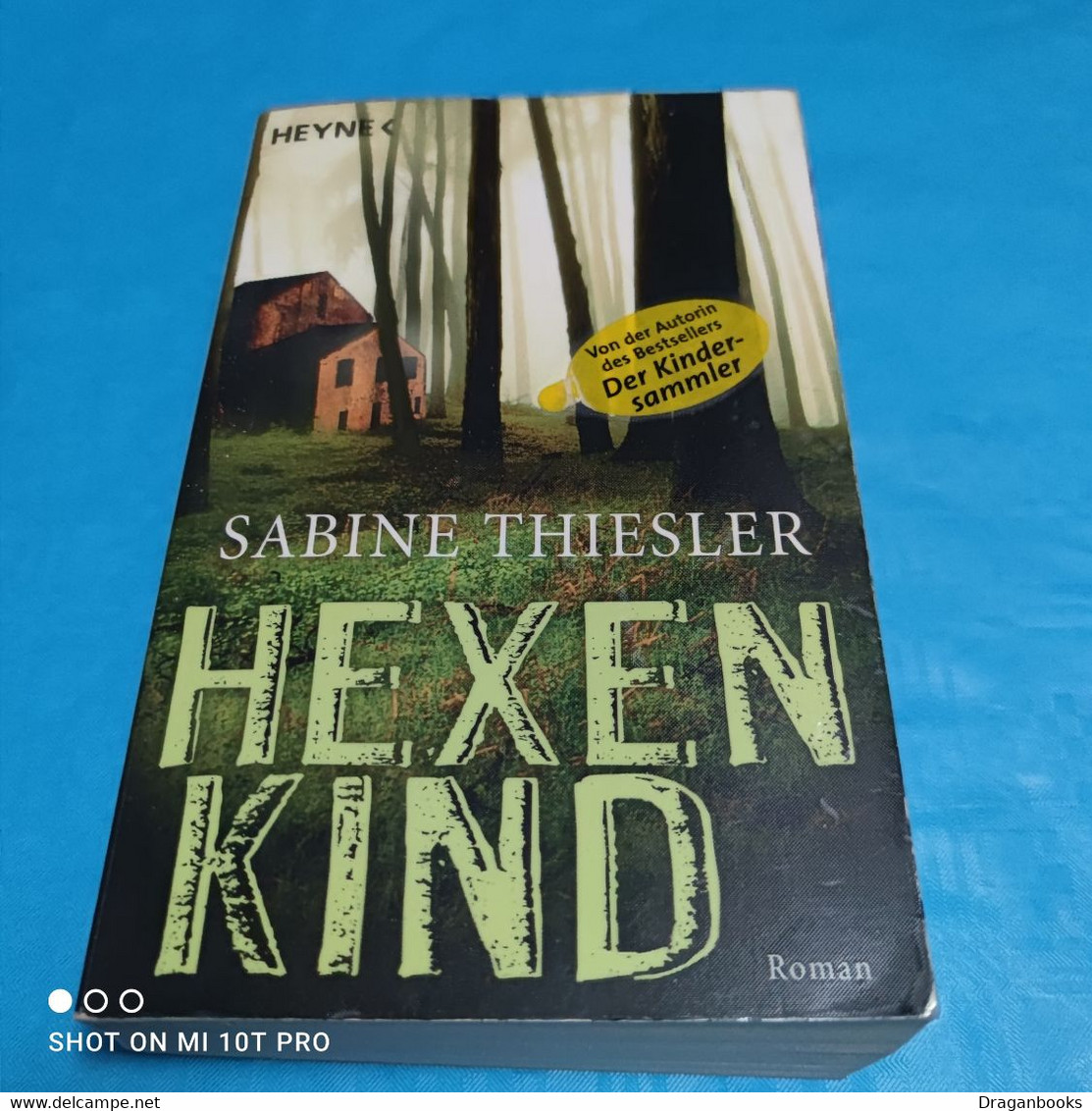 Hexenkind - Sabine Thiesler - Thriller