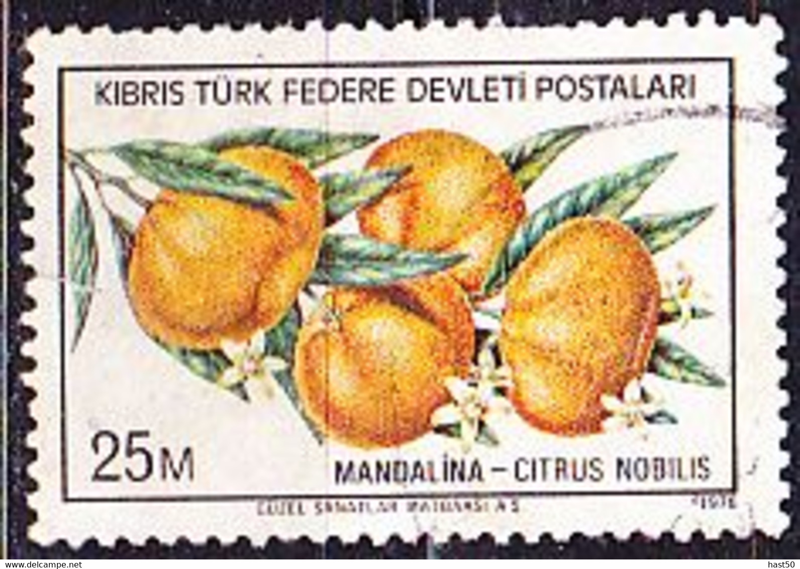 TürkischZypern Turkish Cyprus Turque De Chypre - Mandarinen (Citrus Nobilis) (MiNr: 30) 1976 - Gest Used Obl - Used Stamps