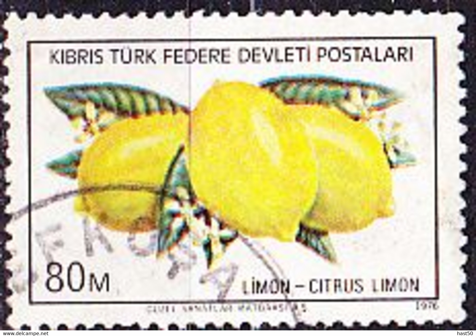 TürkischZypern Turkish Cyprus Turque De Chypre - Zitronen (Citrus Limon) (MiNr: 33) 1976 - Gest Used Obl - Used Stamps