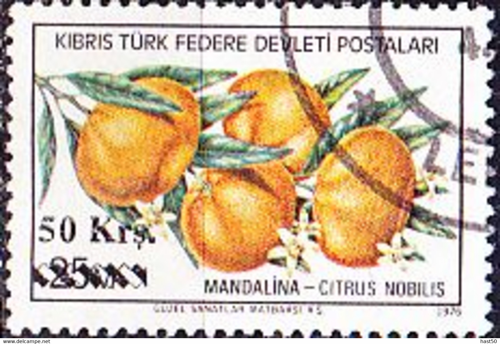 TürkischZypern Turkish Cyprus Turque De Chypre - Mandarinen (Citrus Nobilis) (MiNr: 66) 1979 - Gest Used Obl - Oblitérés