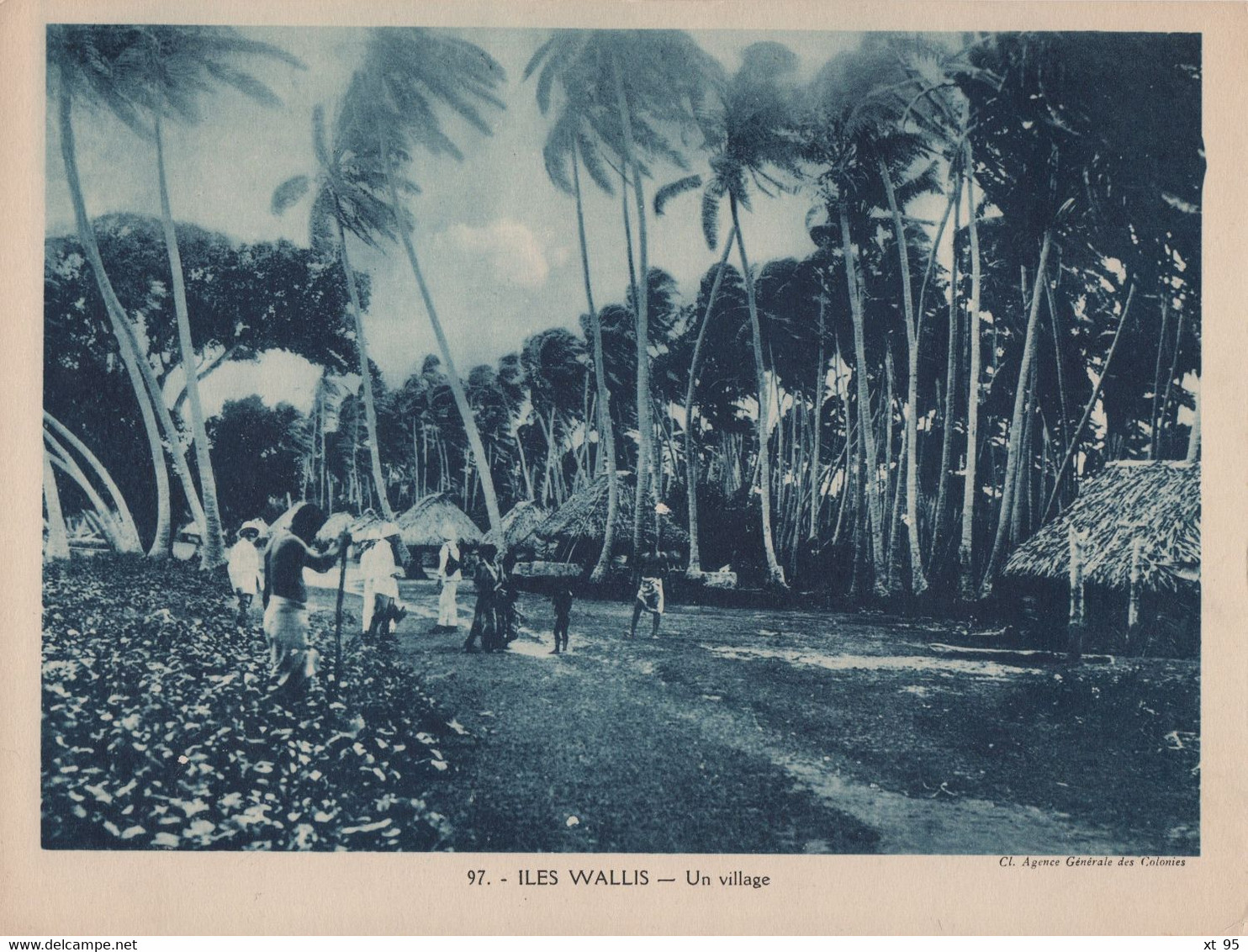 Pour L'Enseignement Vivant (24x18cm) - Les Colonies Francaises - Iles Wallis - Un Village - Wallis Und Futuna
