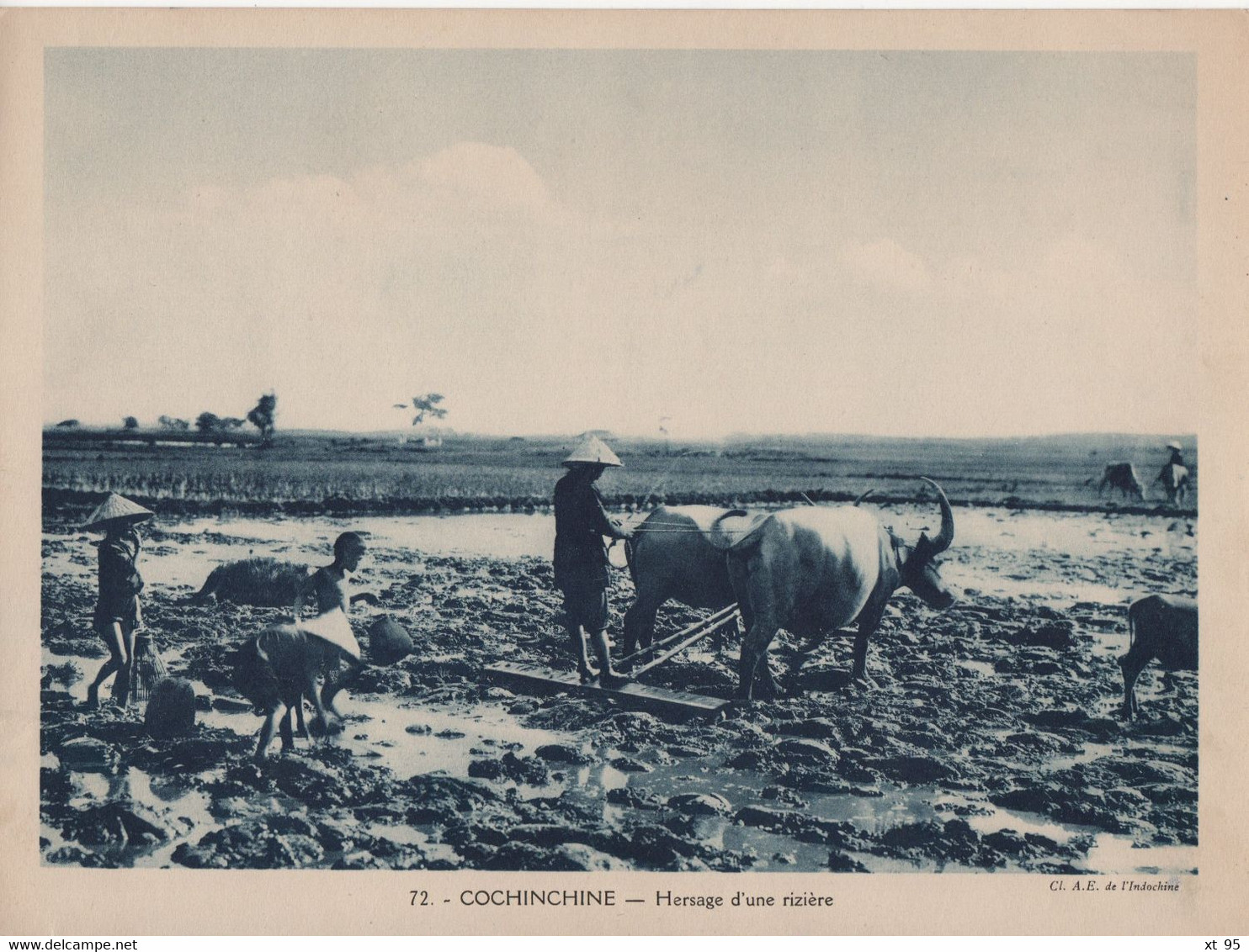 Pour L'Enseignement Vivant (24x18cm) - Les Colonies Francaises - Cochinchine - Hersage D'une Riziere - Vietnam