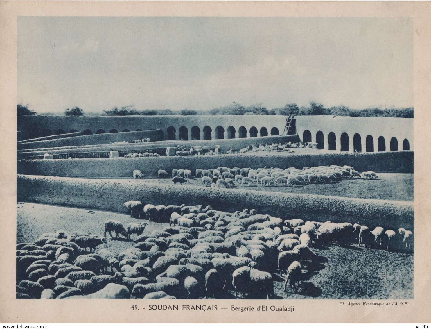 Pour L'Enseignement Vivant (24x18cm) - Les Colonies Francaises - Soudan Francais -  Bergerie El Oualadji - Sudan