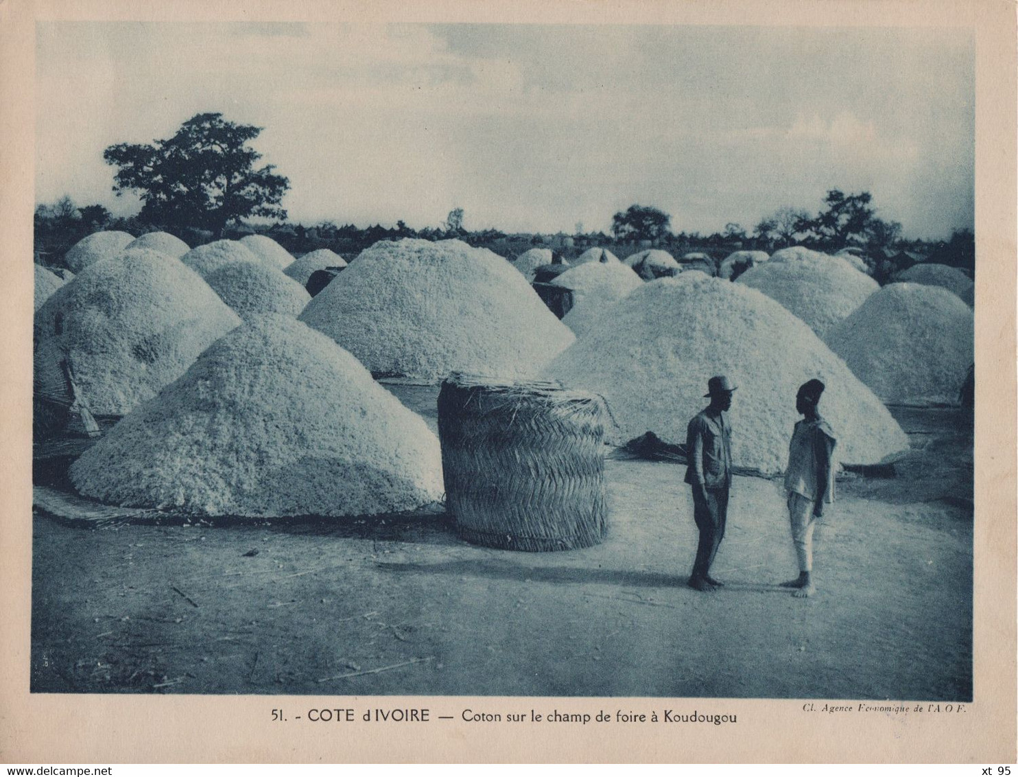 Pour L'Enseignement Vivant (24x18cm) - Les Colonies Francaises - Cote D Ivoire - Coton Sur Le Champ De Foire Koudougou - Ivory Coast