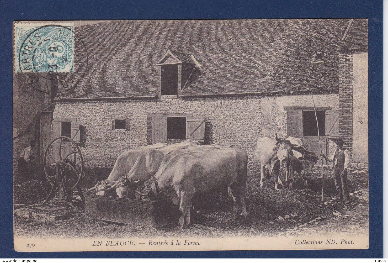 CPA Beauce Agriculture Métier Circulé En Beauce N° 276 Vaches - Centre-Val De Loire