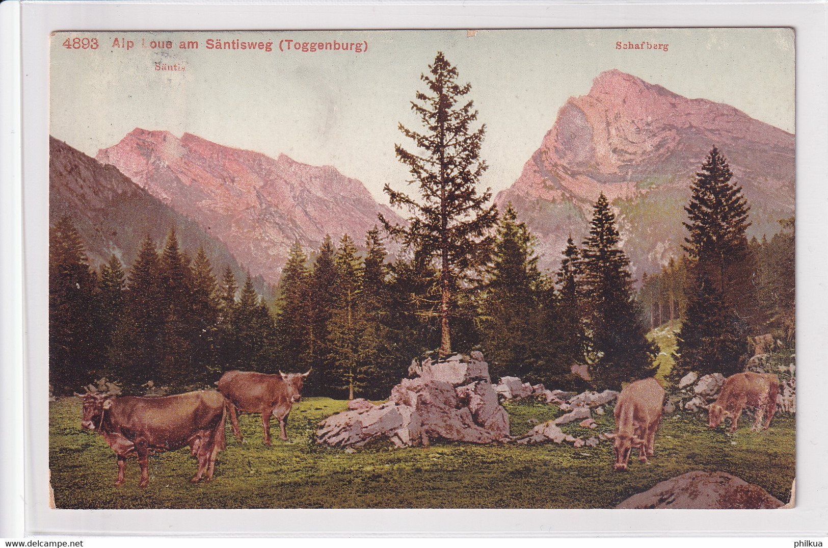 Alp Loue Am Säntisweg (Toggenburg) - Galaufen Ab Wildhaus Nach Altstätten - Altstätten