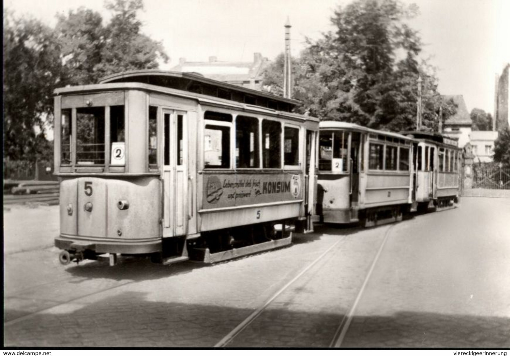 ! DDR S/w Ansichtskarte 75 Jahre Cottbuser Straßenbahn, Konsum Reklame An Der Tram - Tramways