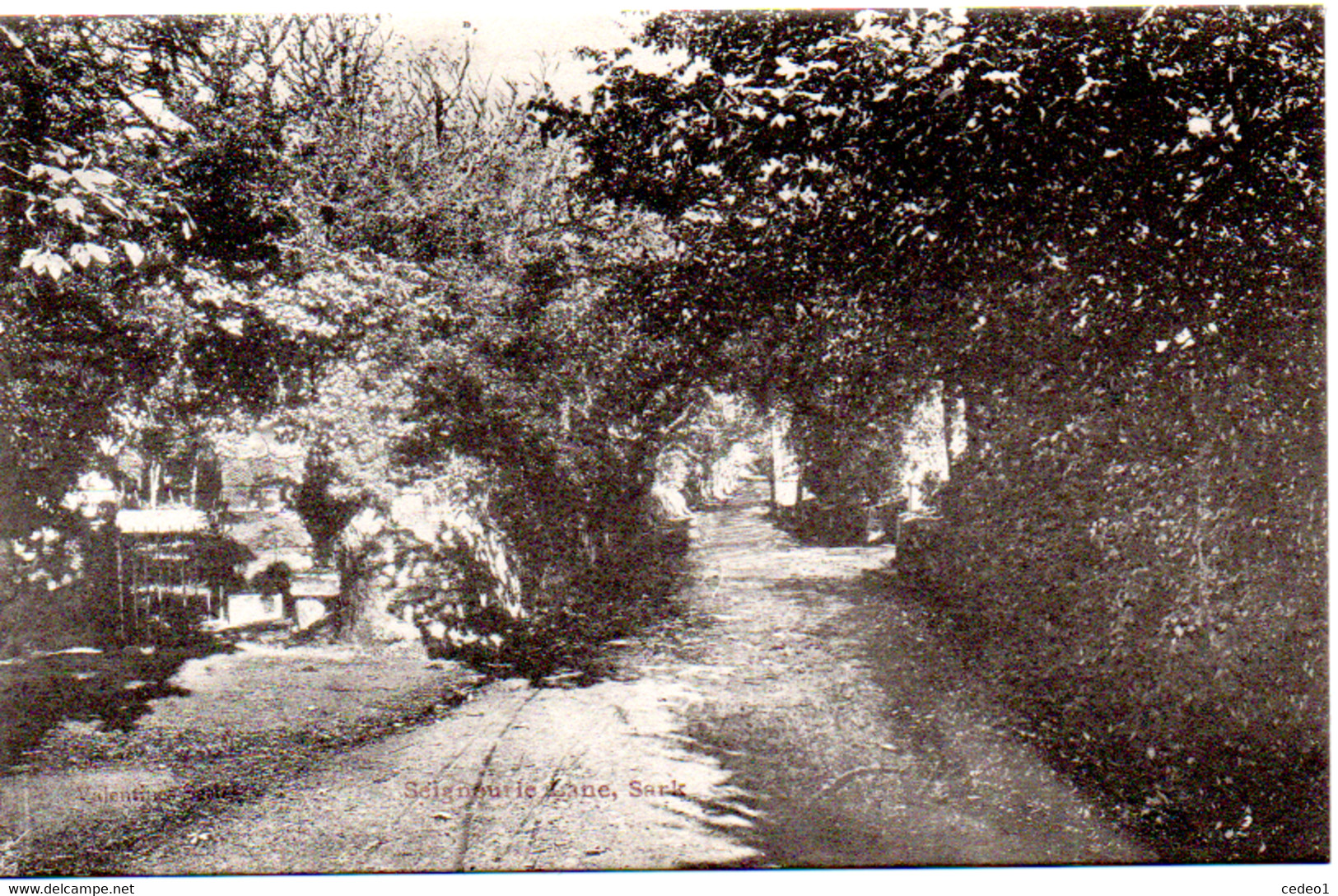 SARK   SEIGNOURIE LANE - Sark