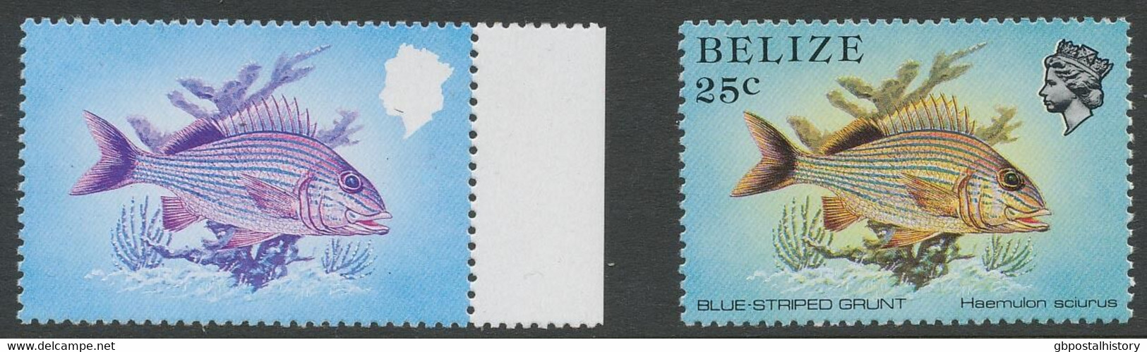 BELIZE 1984 25 C. Fish Superb U/M VARIETY: MSSING COLOURS BLACK AND YELLOW - Belice