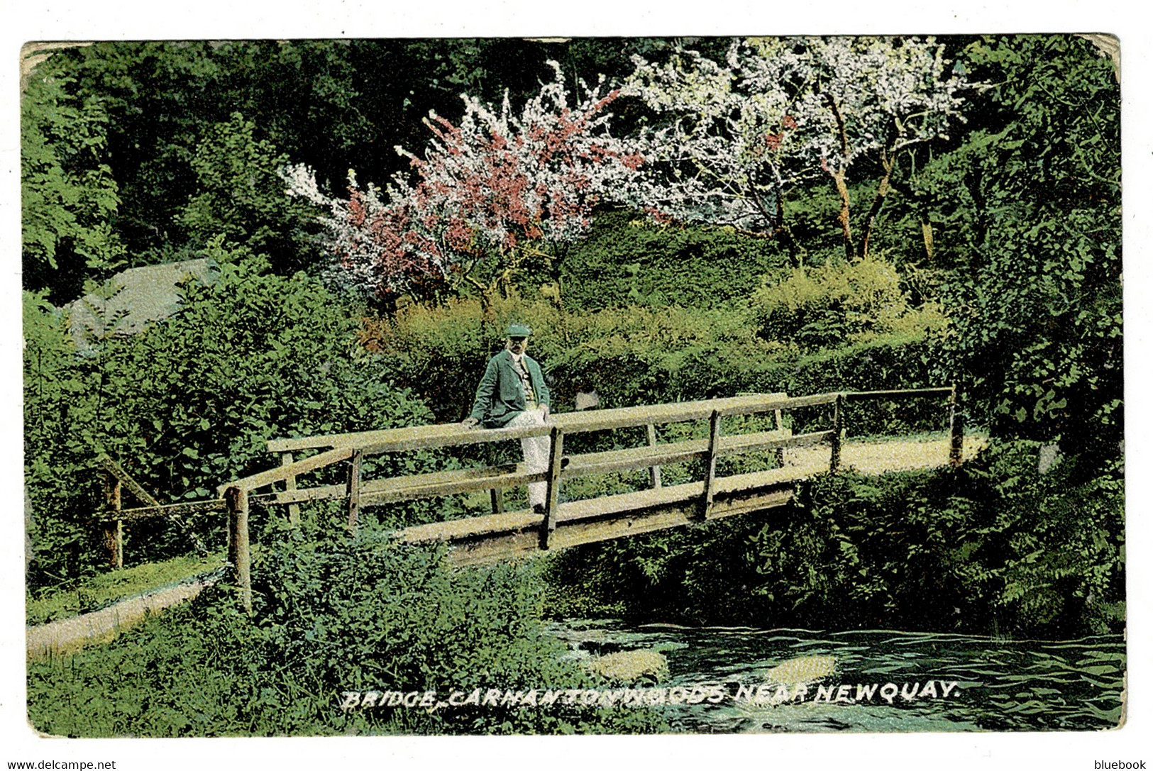 Ref 1473 - 1906 Postcard - Man On Bridge - Carnanton Woods Near Newquay Cornwall - Newquay