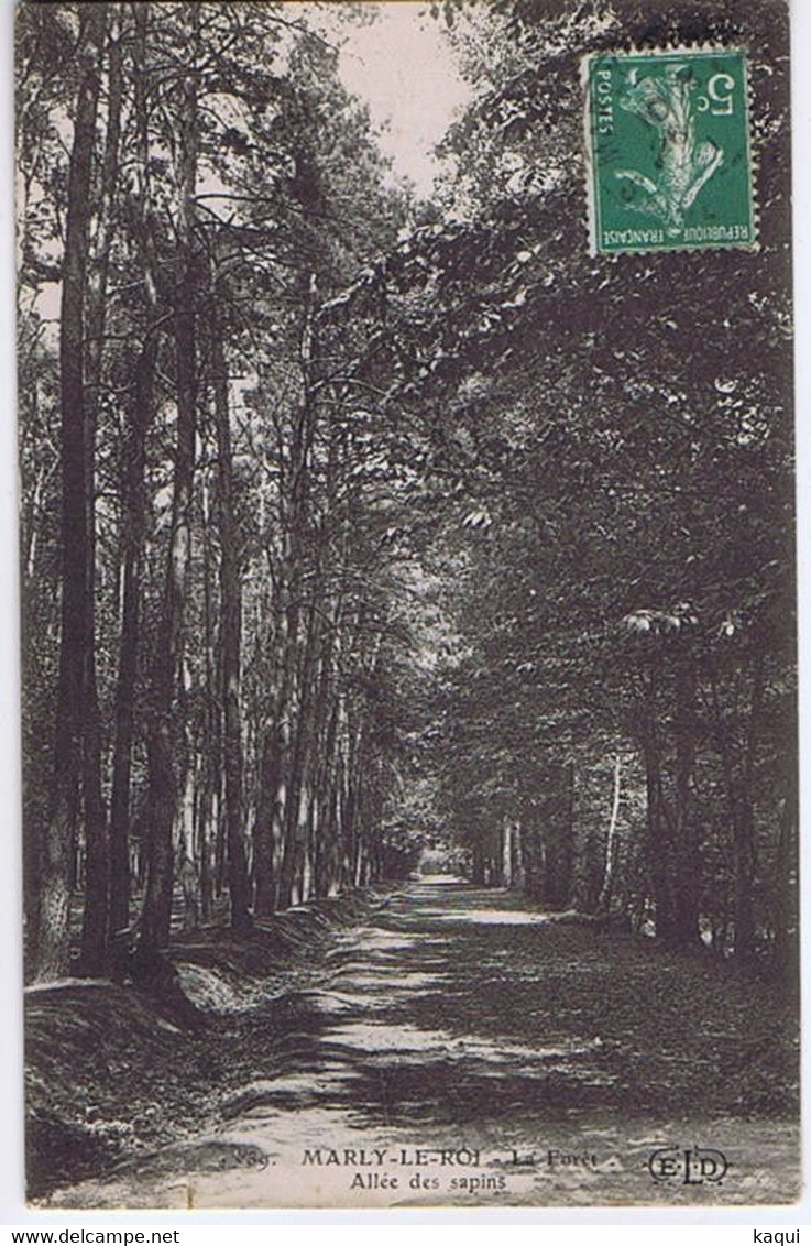 YVELINES - MARLY-LE-ROI - La Forêt - Allée Des Sapins - Marly Le Roi