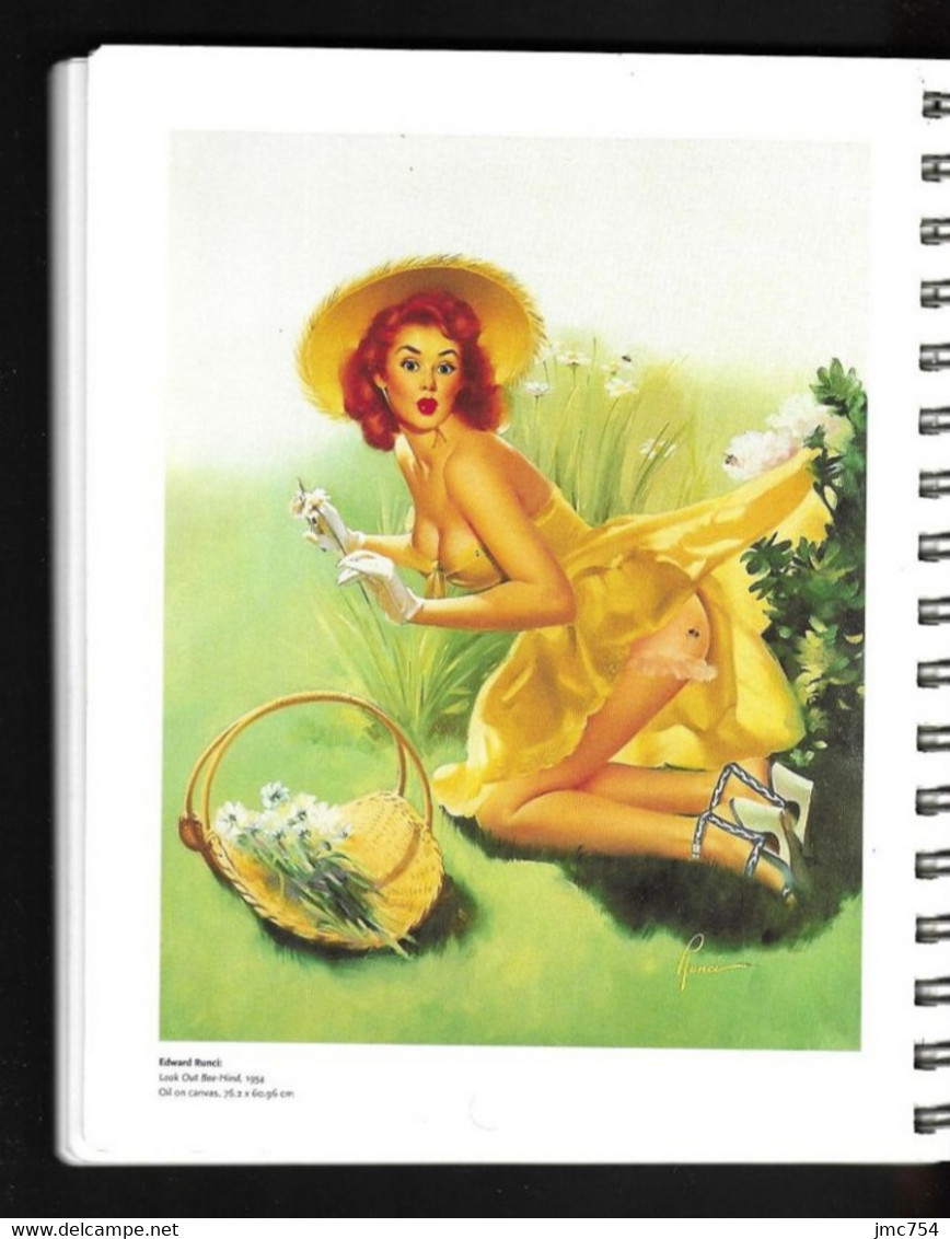 Agenda 1997 Vierge.   The American Pin-Up.   59 Créatures De Rêve !   Superbe Document.... - Blank Diaries