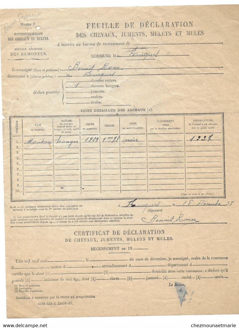 1937 FOURQUES (66) - CHEVAL HONGRE NE EN 1929 NOMME MOUTON - DECLARATION CHEVAUX JUMENTS MULETS MULES - BENOIT ROCA - Documents Historiques