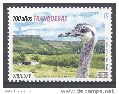 URUGUAY , 2014 , MNH,BIRDS, OSTRICHES,1v - Ostriches