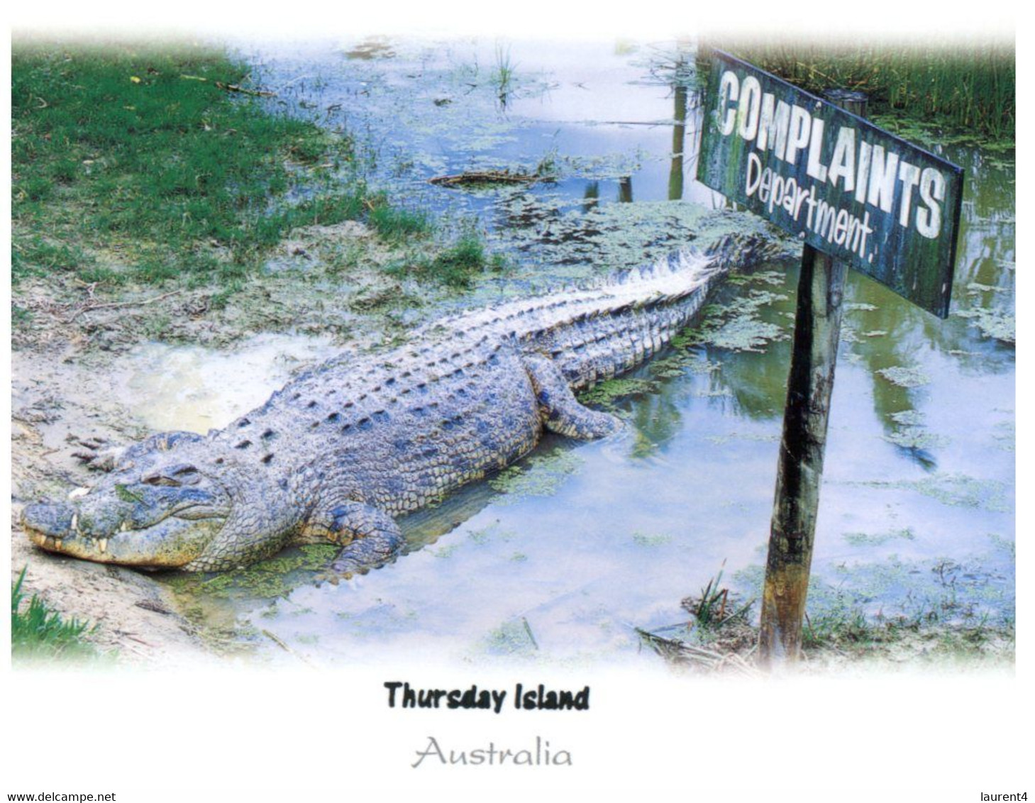 (JJ 11) Austrlia - QLD - Thursday Island (with Crocodile) - Far North Queensland
