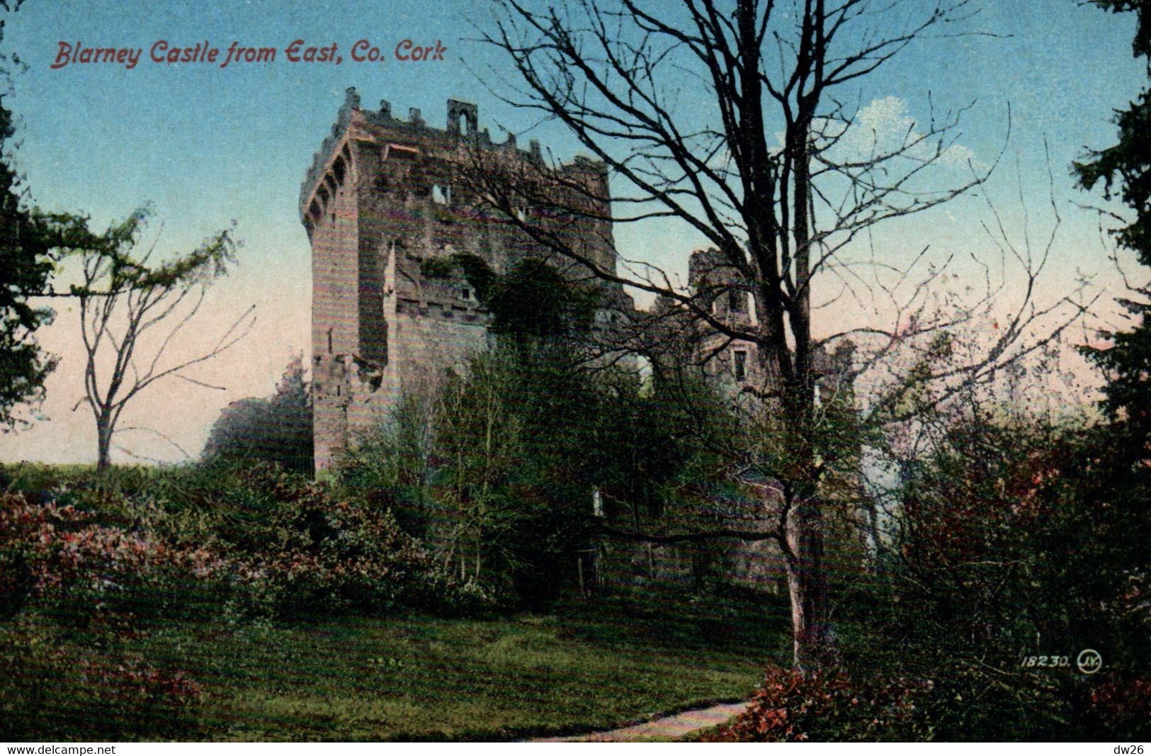 Blarney Castle From East, Co. Cork - Unused Post Card Valentine N° 37729 - Cork