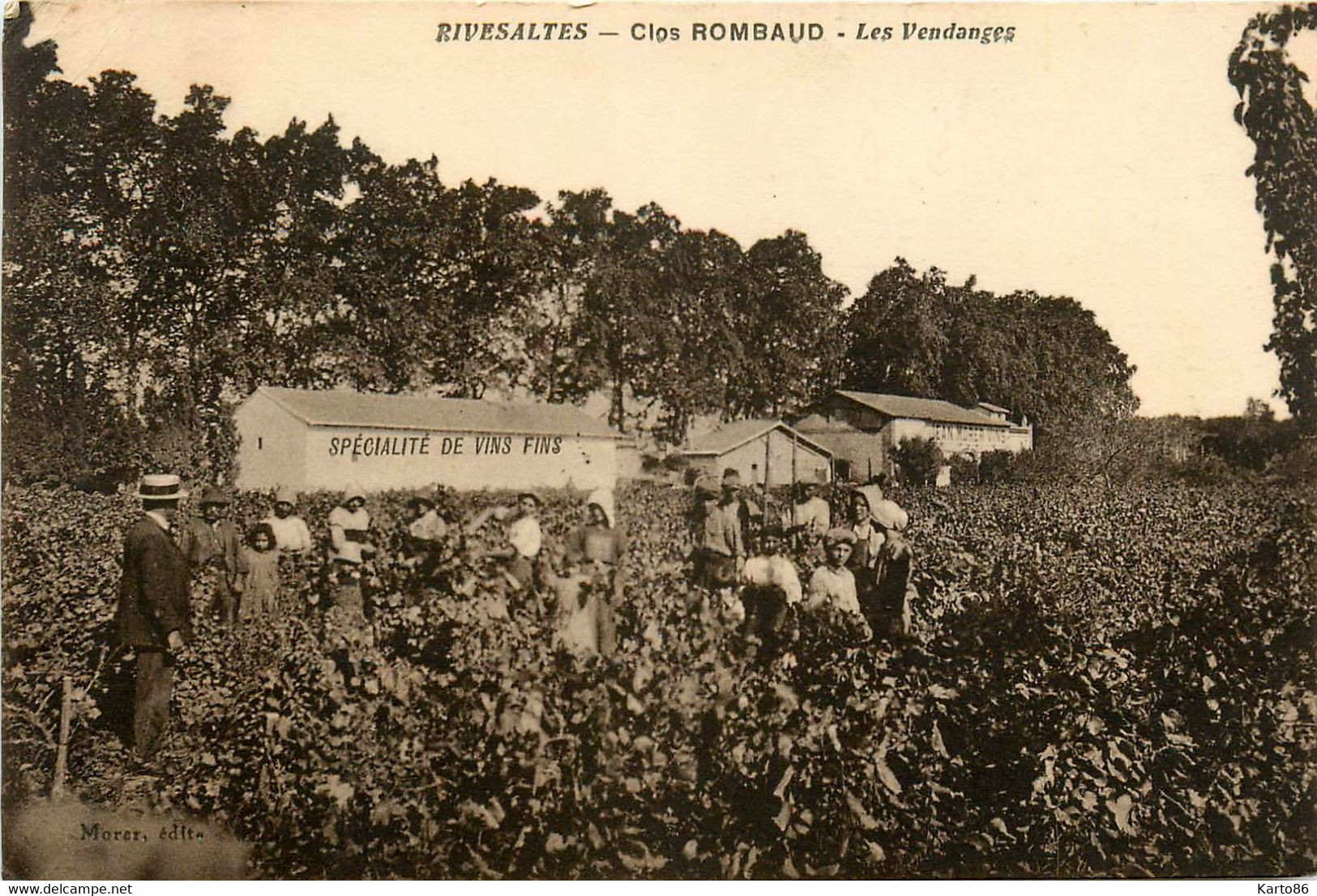 Rivesaltes * Le Clos ROMBAUD * Vignoble Vin Vignes * Les Vendanges * Vendangeurs * Vins Viticole - Rivesaltes