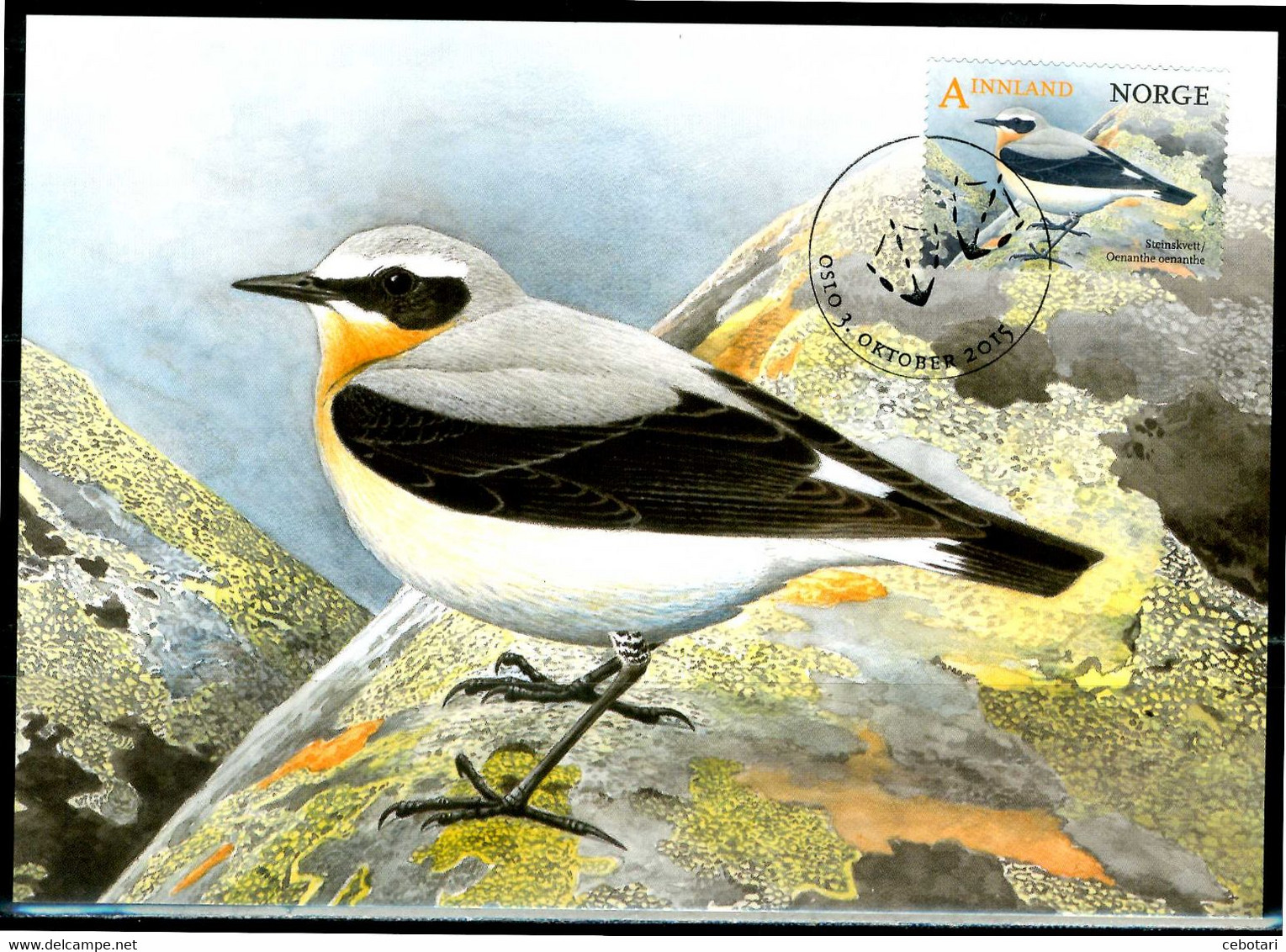 NORVEGIA / NORWAY 2015 - Uccello / Bird - "Oenanthe Oenanthe" - Maximum Card - Passeri