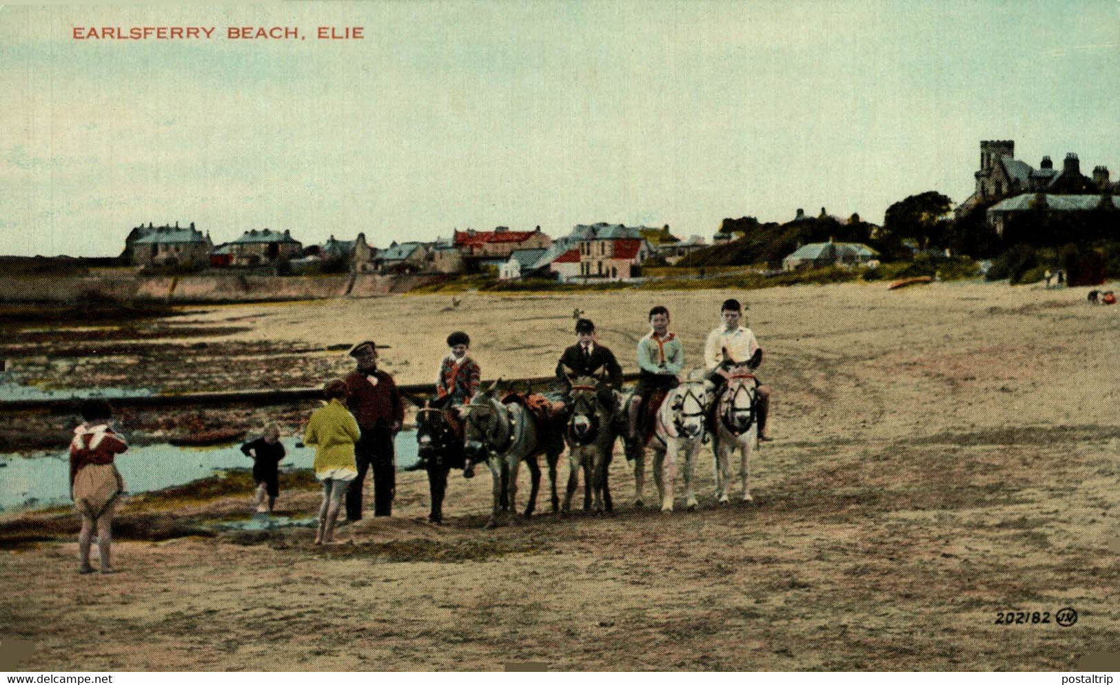 Elie Earlsferry Beach  ANE DONKEY EZEL ESEL MULES Donkeycollection - Fife